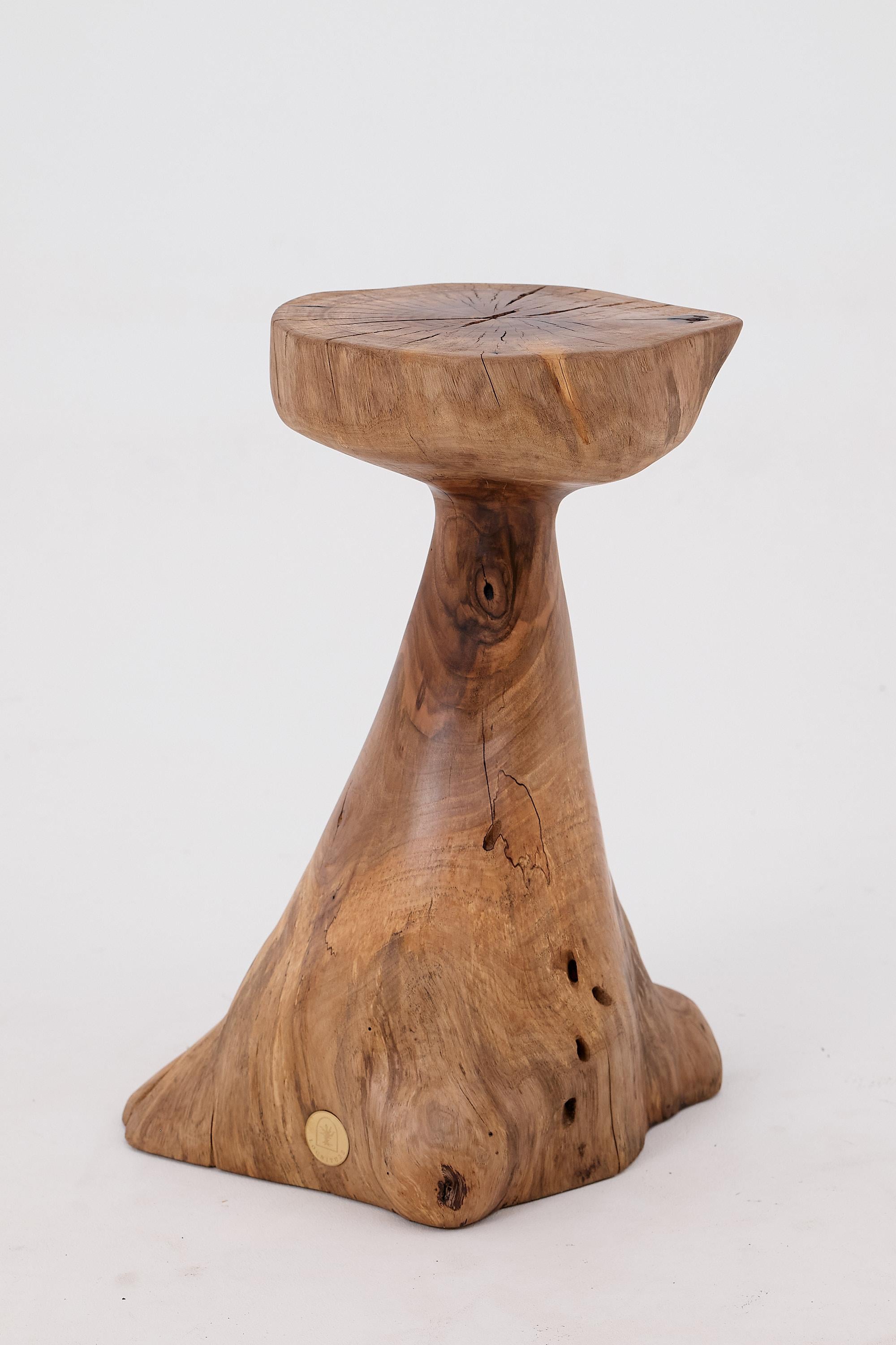Cette table d'appoint sculpturale est une œuvre d'art fonctionnelle unique en son genre, entièrement sculptée à la main à partir d'une seule bûche de bois dur. Sa forme s'élève à partir d'une large base ancrée dans le sol pour former une colonne