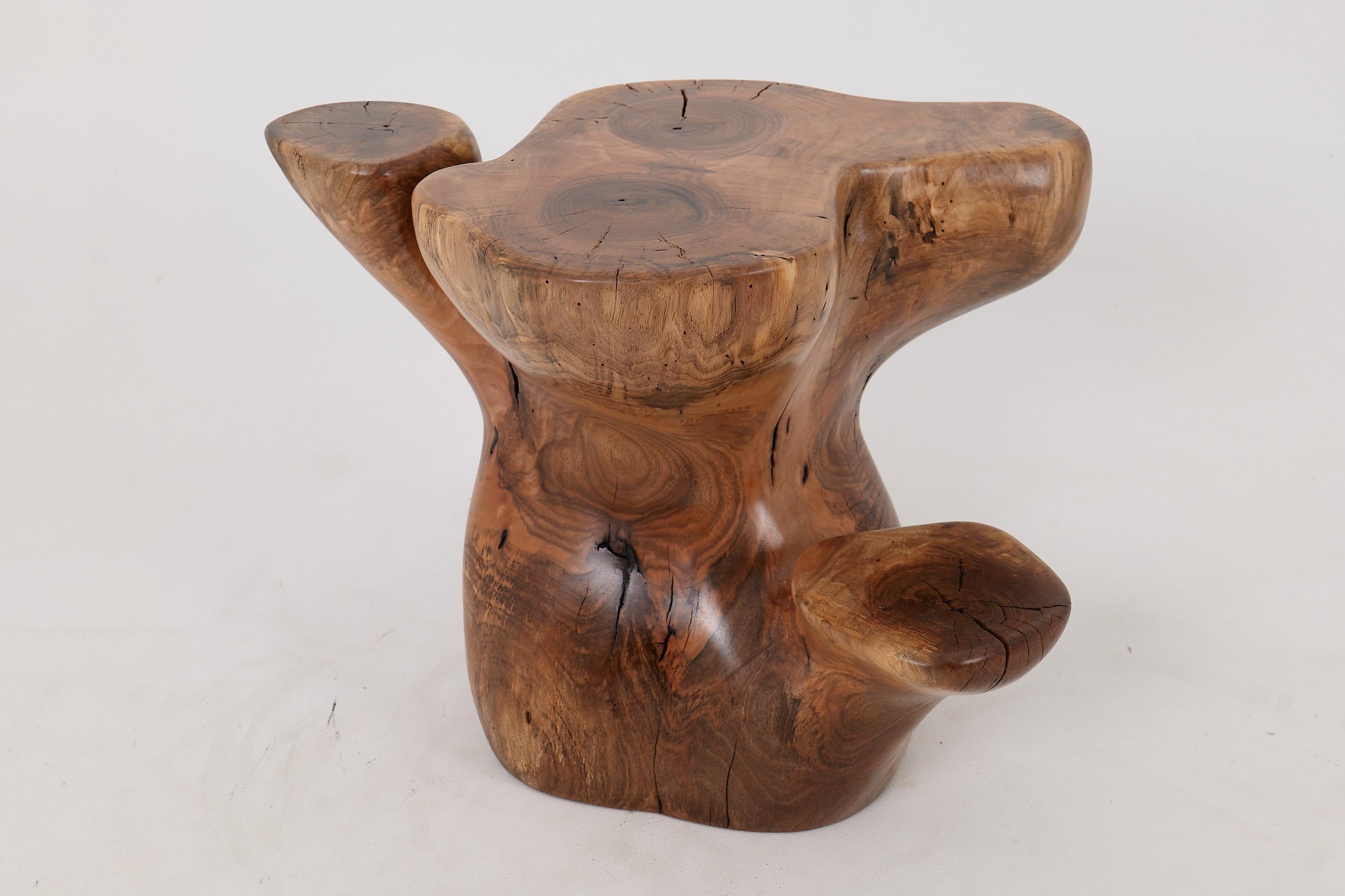 Logniture, Mesa Auxiliar Escultórica de Madera Maciza de Nogal, Original Diseño Contemporáneo Brutalista