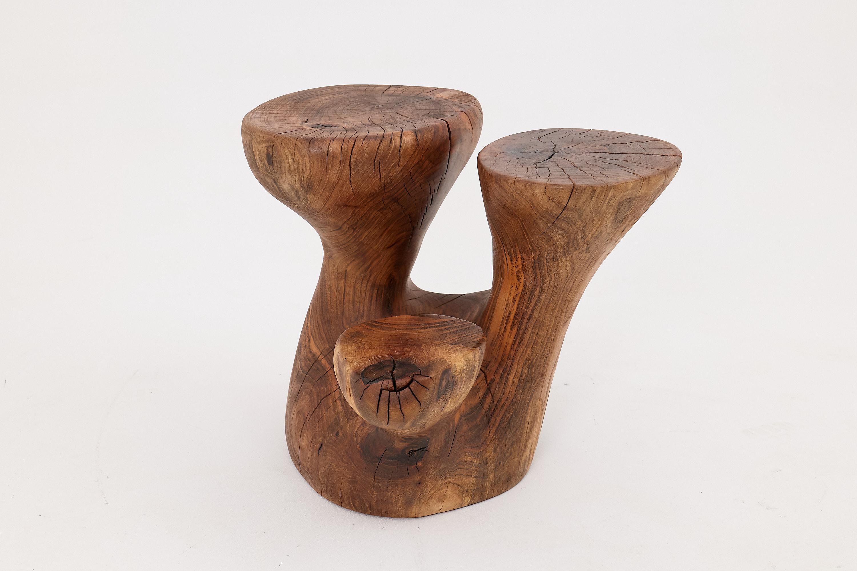 Organique Logniture, table d'appoint sculpturale en bois massif de noyer, design contemporain original en vente