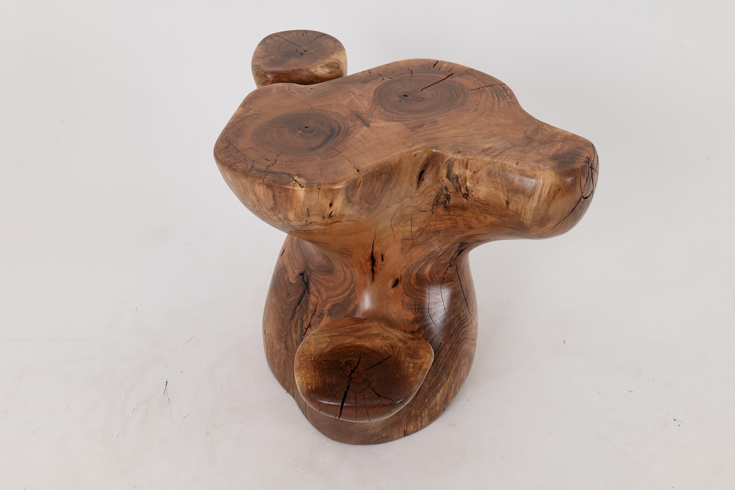Logniture, Mesa Auxiliar Escultórica de Madera Maciza de Nogal, Original Diseño Contemporáneo Croata