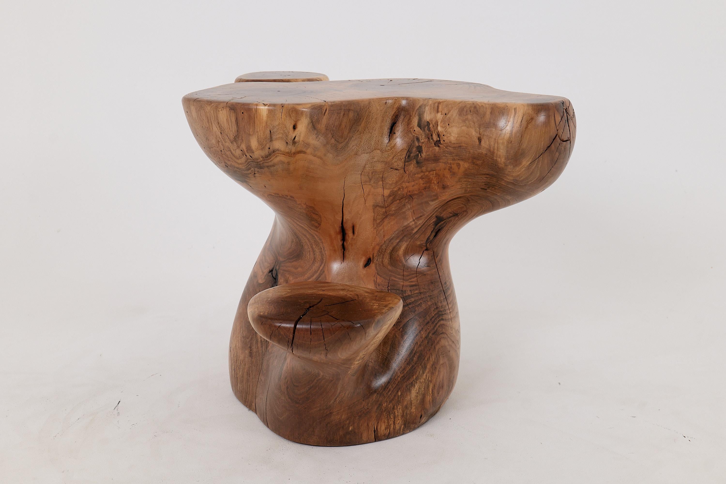 Logniture, Mesa Auxiliar Escultórica de Madera Maciza de Nogal, Original Diseño Contemporáneo Tallado