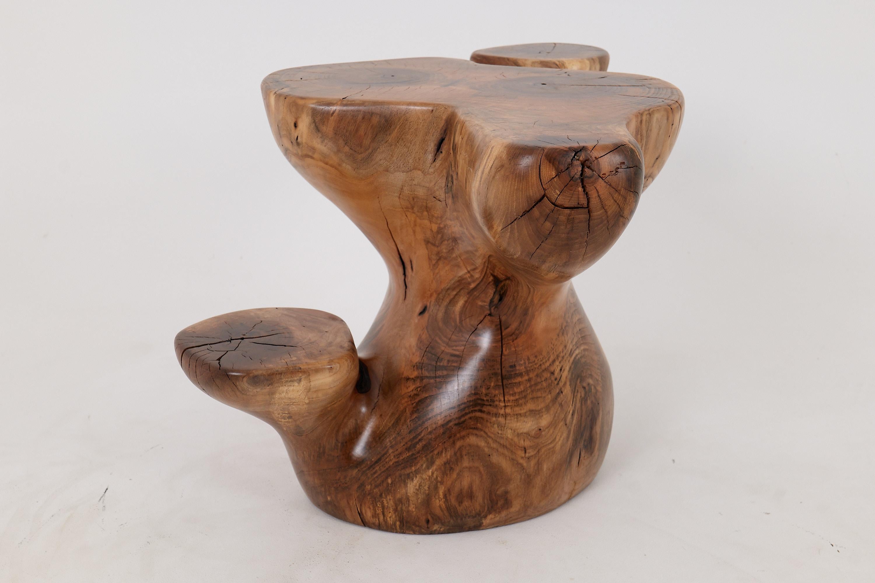 Logniture, Mesa Auxiliar Escultórica de Madera Maciza de Nogal, Original Diseño Contemporáneo en Nuevo Estado en Stara Gradiška, HR