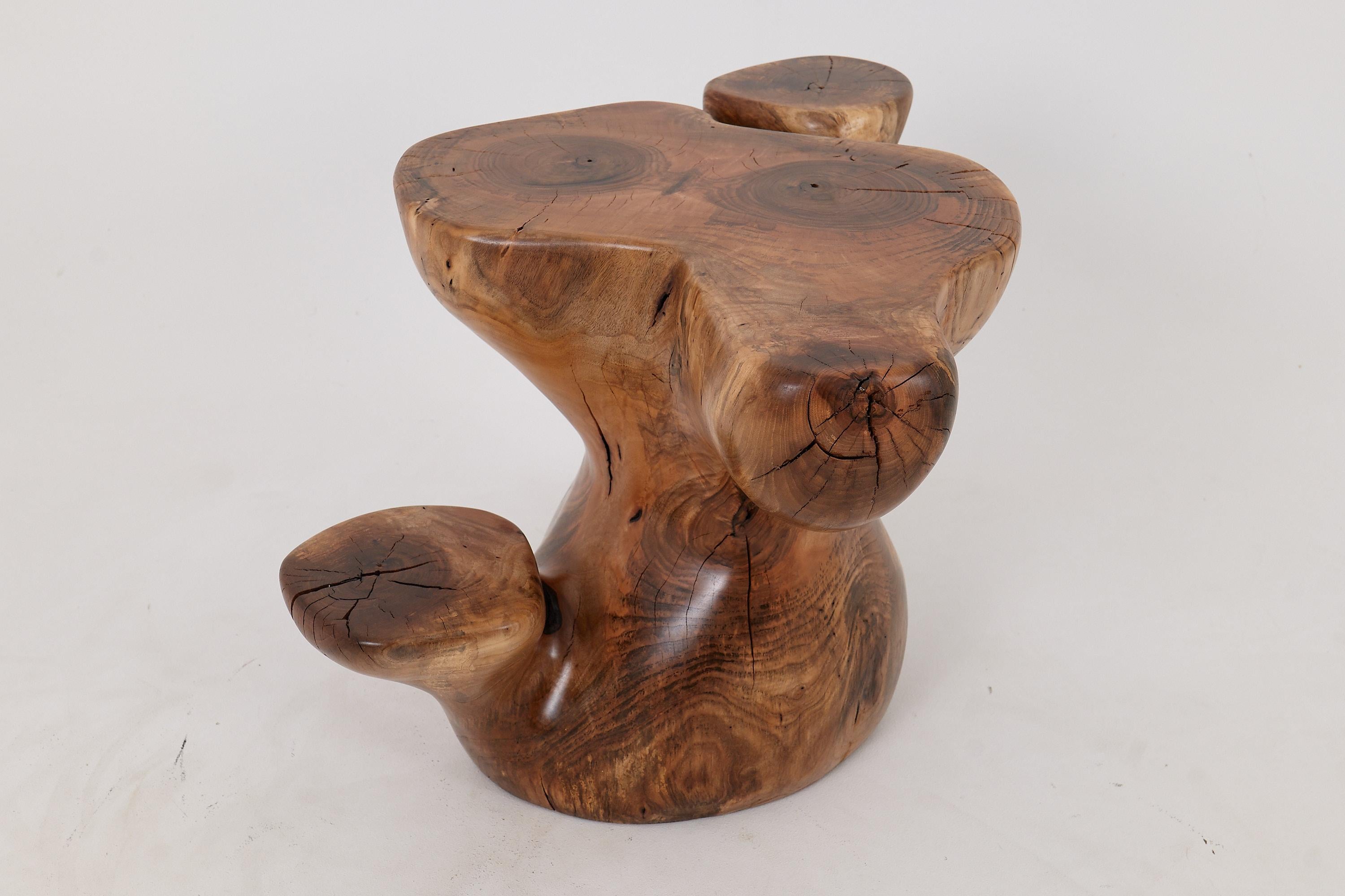 Logniture, Mesa Auxiliar Escultórica de Madera Maciza de Nogal, Original Diseño Contemporáneo Siglo XXI y contemporáneo