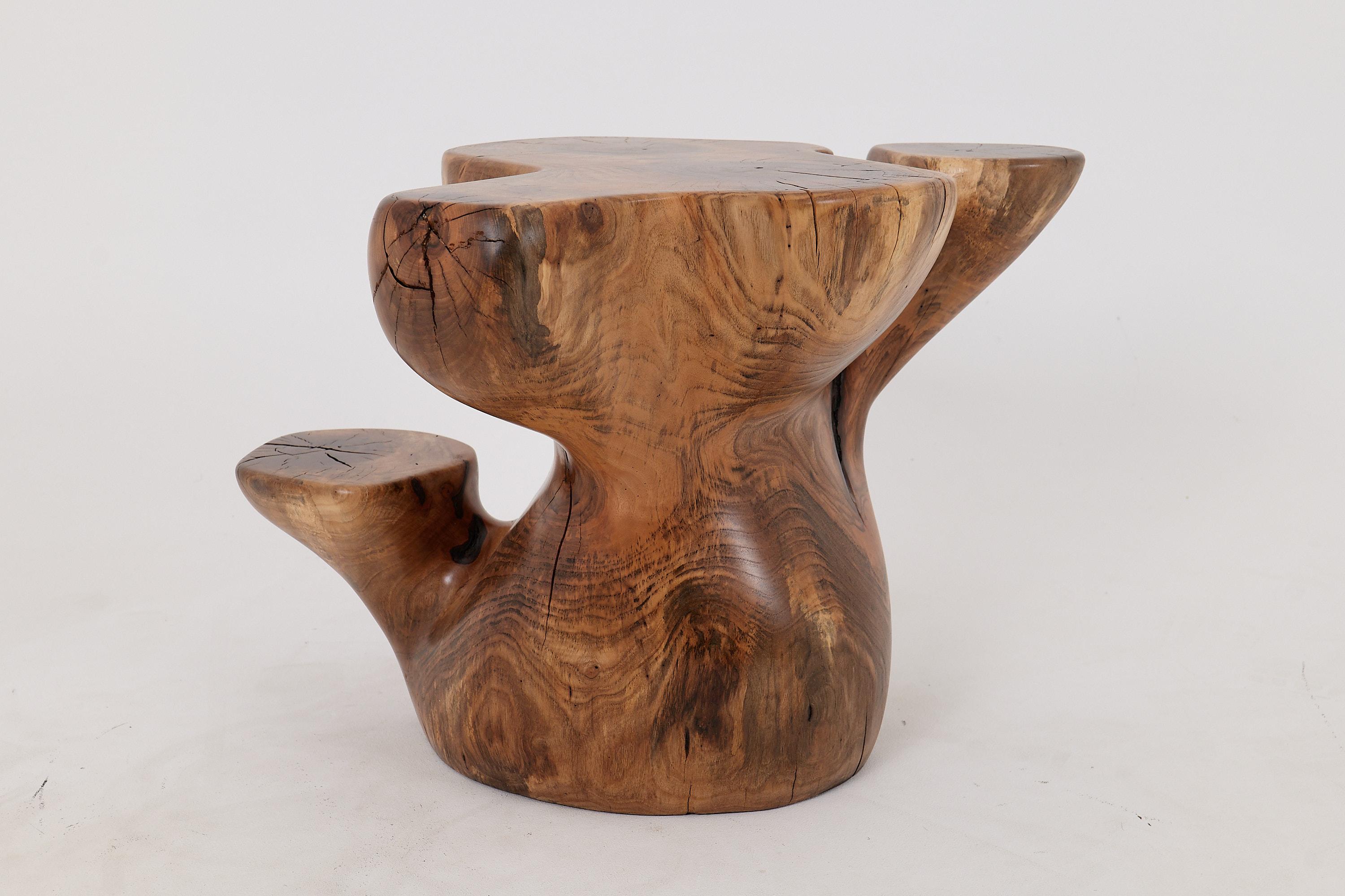 Logniture, Mesa Auxiliar Escultórica de Madera Maciza de Nogal, Original Diseño Contemporáneo 1