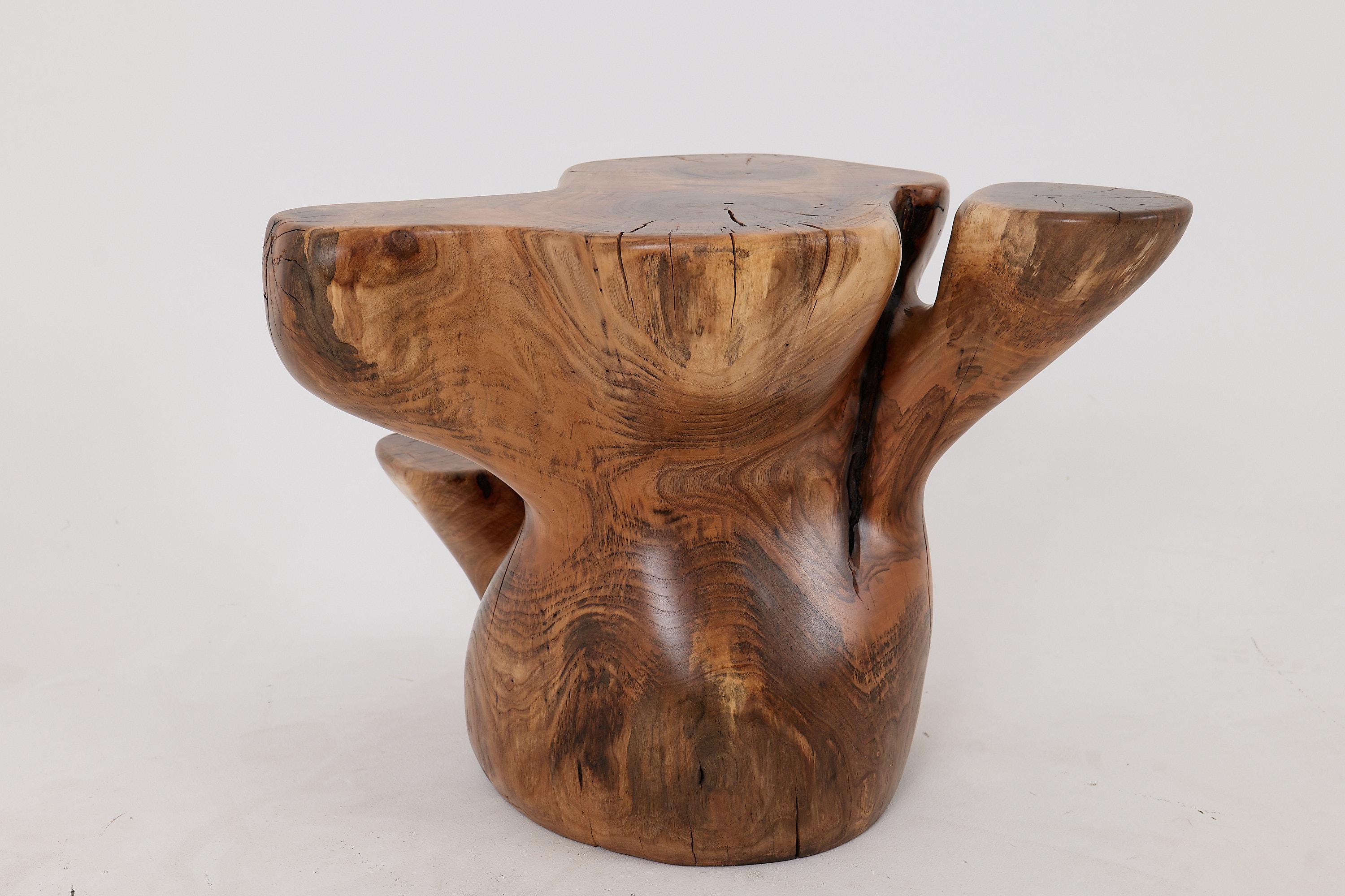 Logniture, Mesa Auxiliar Escultórica de Madera Maciza de Nogal, Original Diseño Contemporáneo 2