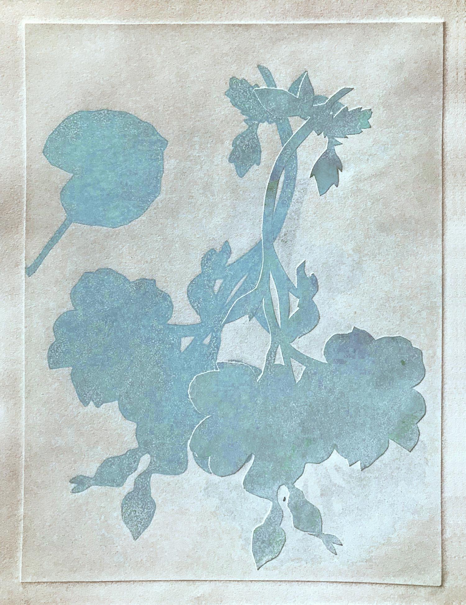 Flower Shadows I, 12 individual floral monotypes together in a grid 6