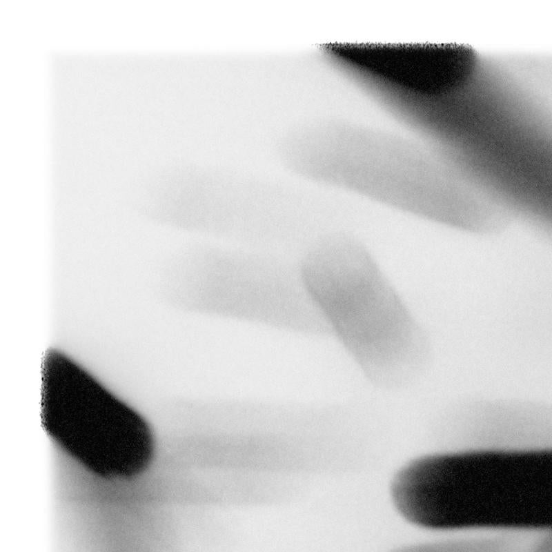Underlight Studies, #27 by Lois White, archival pigment print, 40x52in For Sale 1