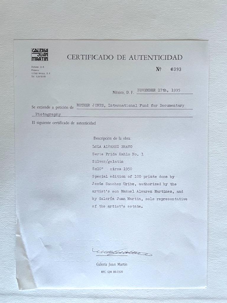 Frida Kahlo (con perros mirando por la ventana) 2