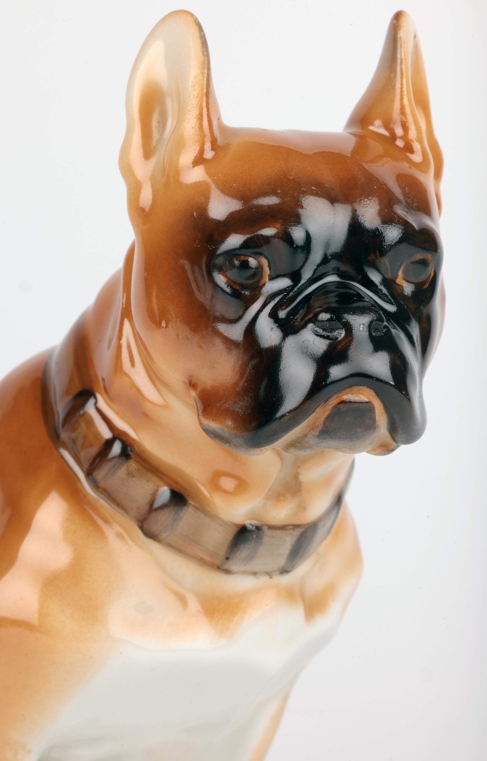 Eine reizvolle russische handbemalte Porzellanfigur aus der Mitte des Jahrhunderts, die eine sitzende Bulldogge auf einem Sockel mit einer Inschrift von Lomonosov aus dem Jahr 1963 zeigt. Die gut modellierte Figur einer großen Bulldogge steht auf