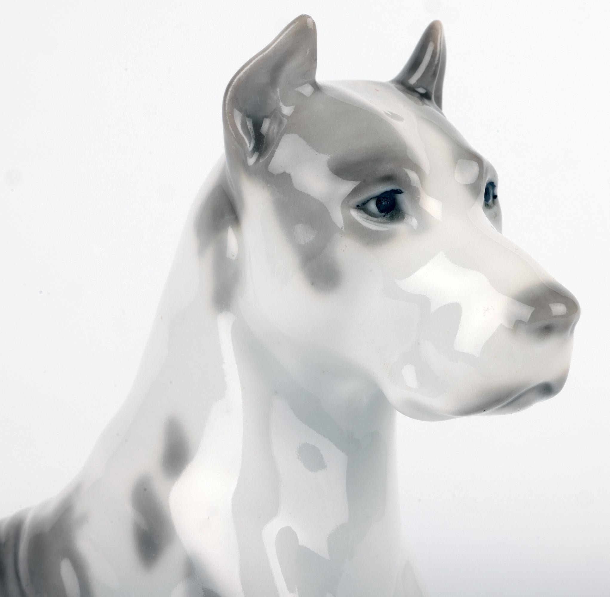 Ravissante figurine en porcelaine russe du milieu du siècle représentant un chien couché avec des détails peints à la main par Lomonosov et datant des années 1950/1960. La figure bien modelée d'un grand chien courant a un pied blanc non émaillé et