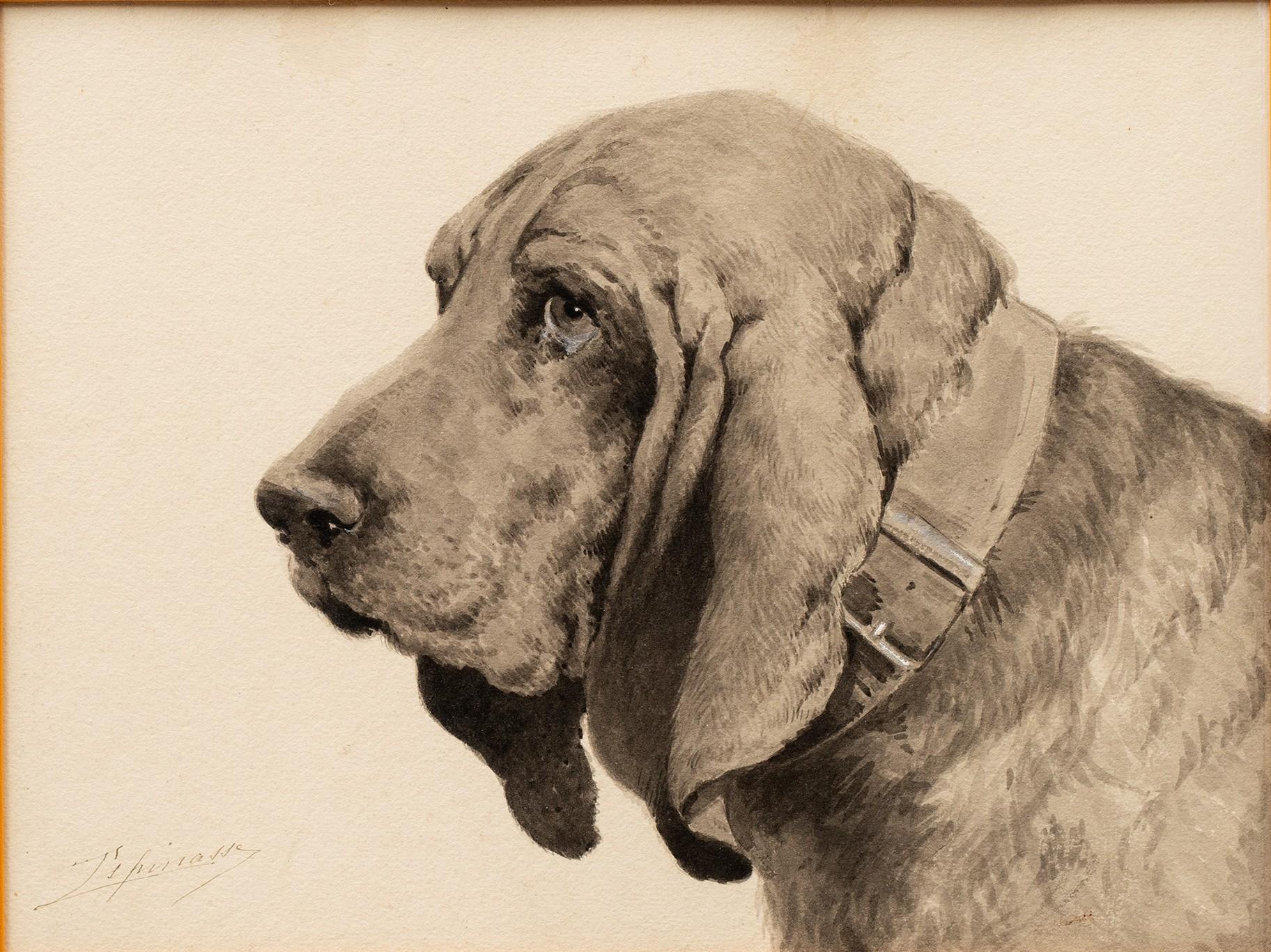 Estudio de un Basset Hound de Léon Espinasse (XIX/XX francés) en venta 1