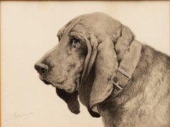 Study of a Basset Hound by Léon Espinasse (French 19th/20th)