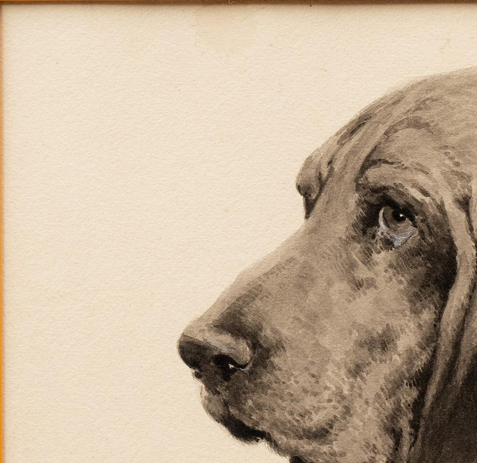 Estudio de un Basset Hound de Léon Espinasse (XIX/XX francés) en venta 4
