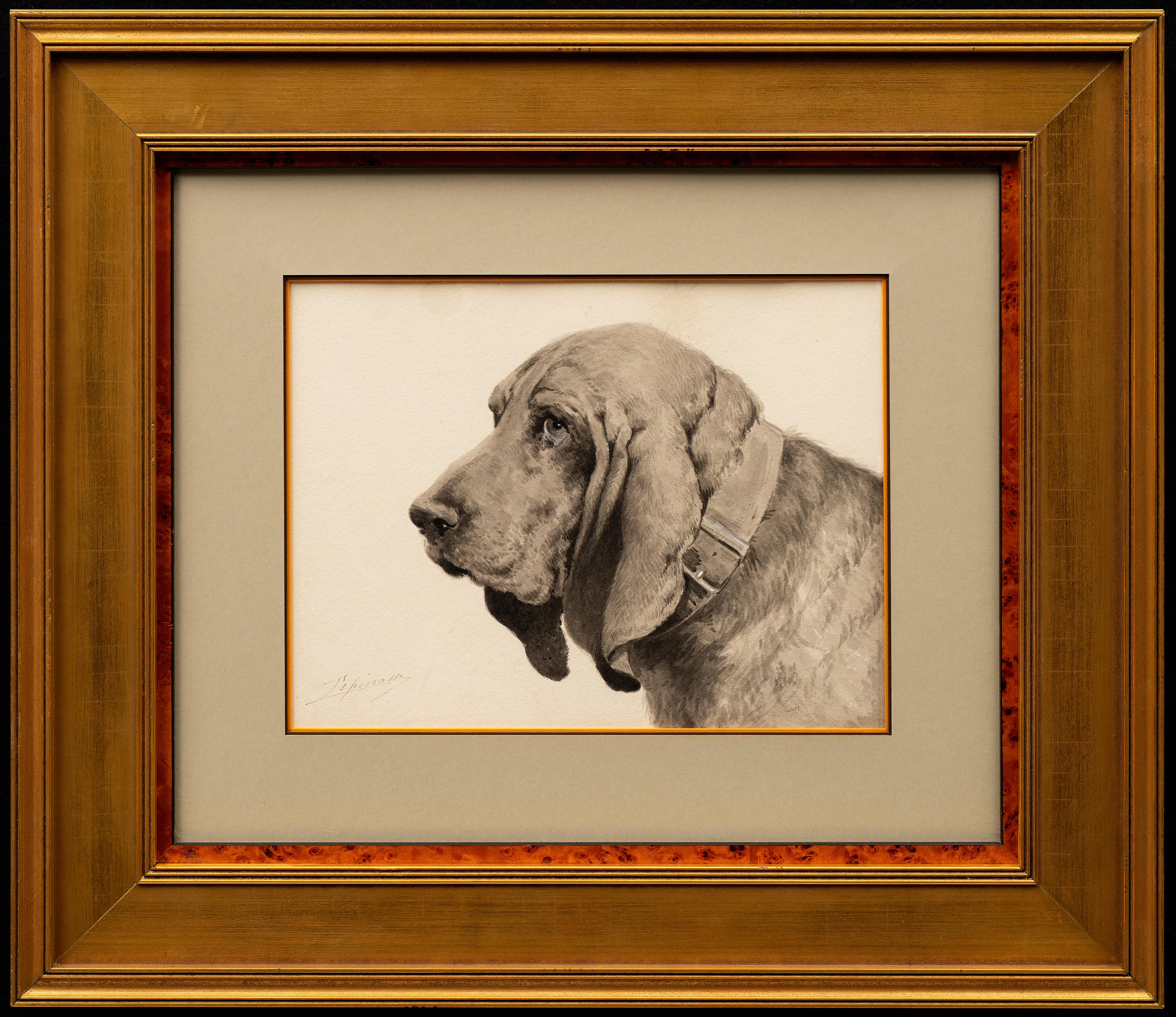 "Retrato de un Basset Hound"
Léon Espinasse (francés, de hacia 1870 al siglo XX)
Acuarela
Firmado abajo a la izquierda
12 x 9 3/8 (23 ¾ x 21 marco) pulgadas

Léon Espinasse es un asombroso ejercicio de control absoluto de su medio, y su capacidad de