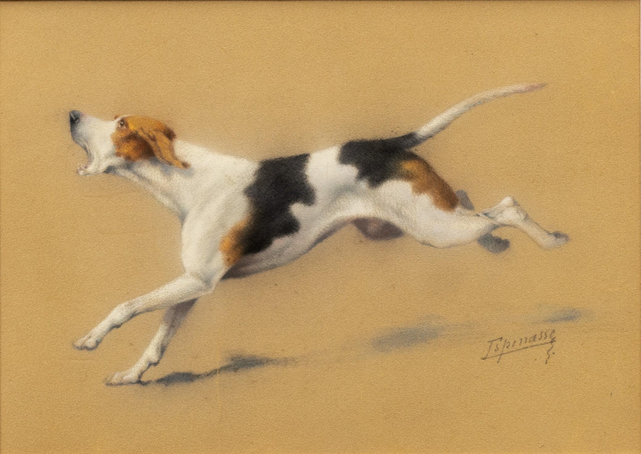 Étude d'un chien d'arrêt à la course par Léon Espinasse (français 19e/20e) en vente 1