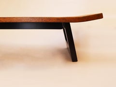 Long and low Mid-Century Modern coffee table, low console or bench by Paul Frank
