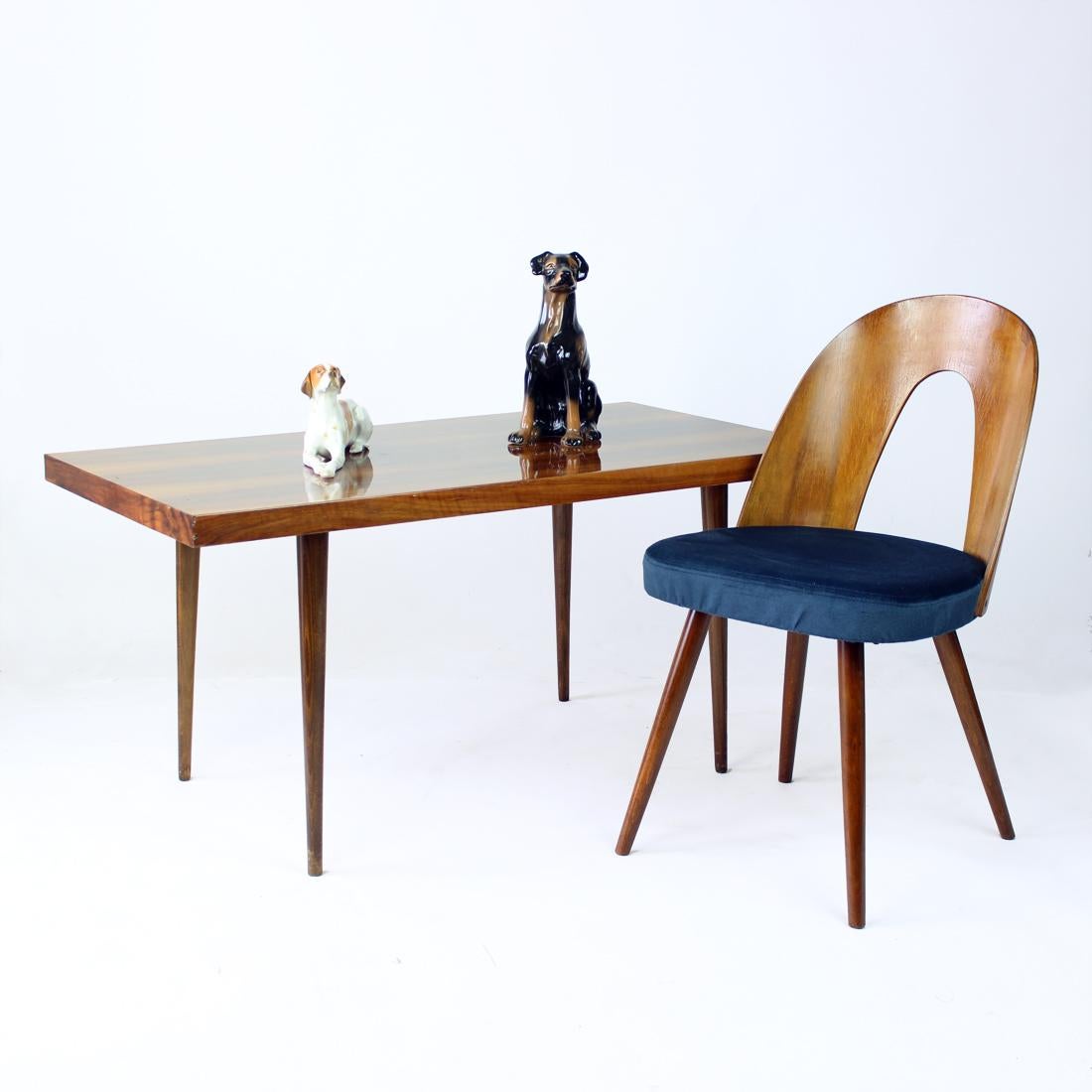 Mid-Century Modern Long Coffee Table In Walnut By Mier, Czechoslovakia 1960s
