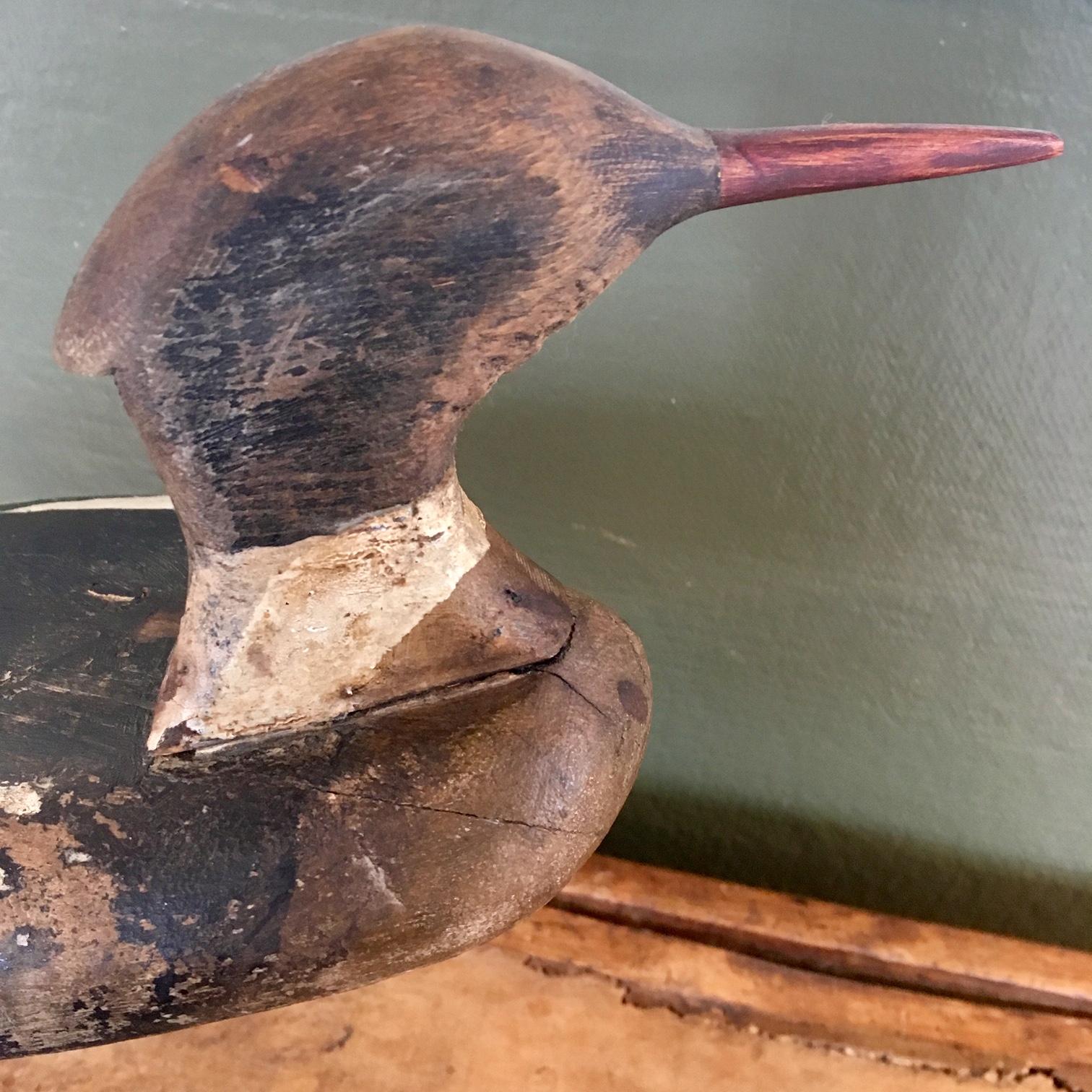 Long Island Merganser Drake Decoy, circa 1910, with sleek low, flat, racy body and head turned at alert posture. The head and body are in great condition with original worn paint. The bottom has received working repaints as would be expected with a