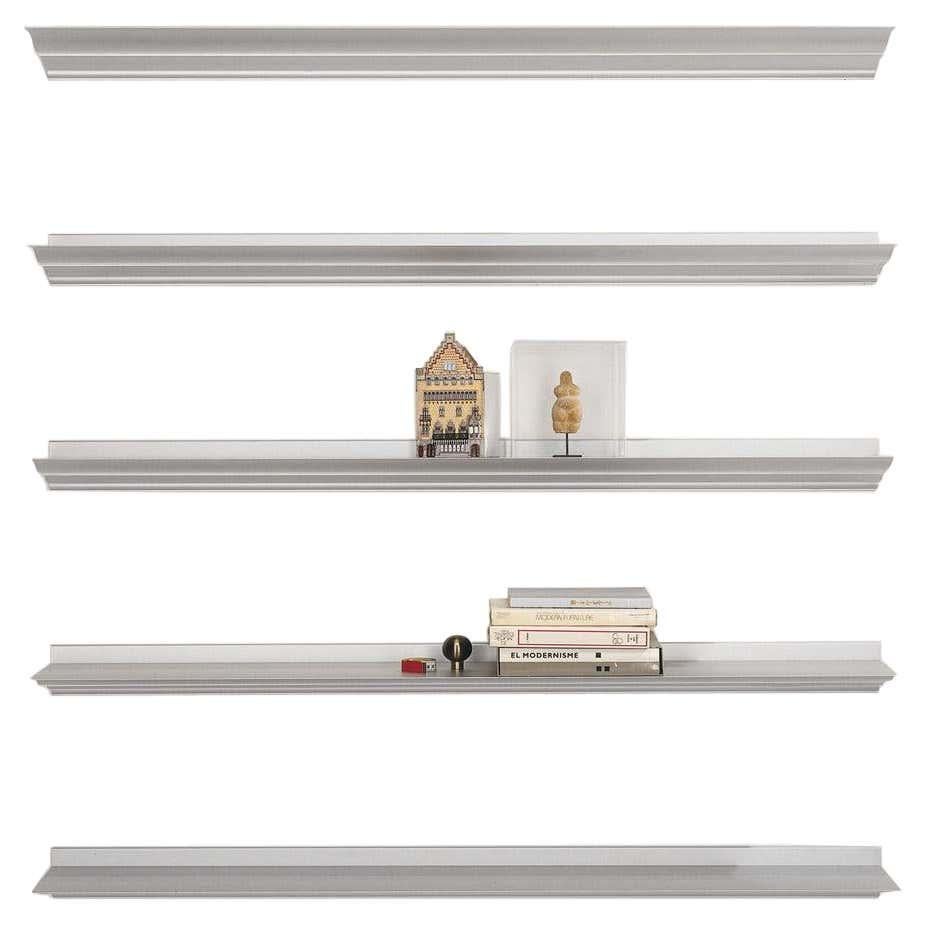 Long Modern Wall Mounted Minimalist Shelves in Aluminum