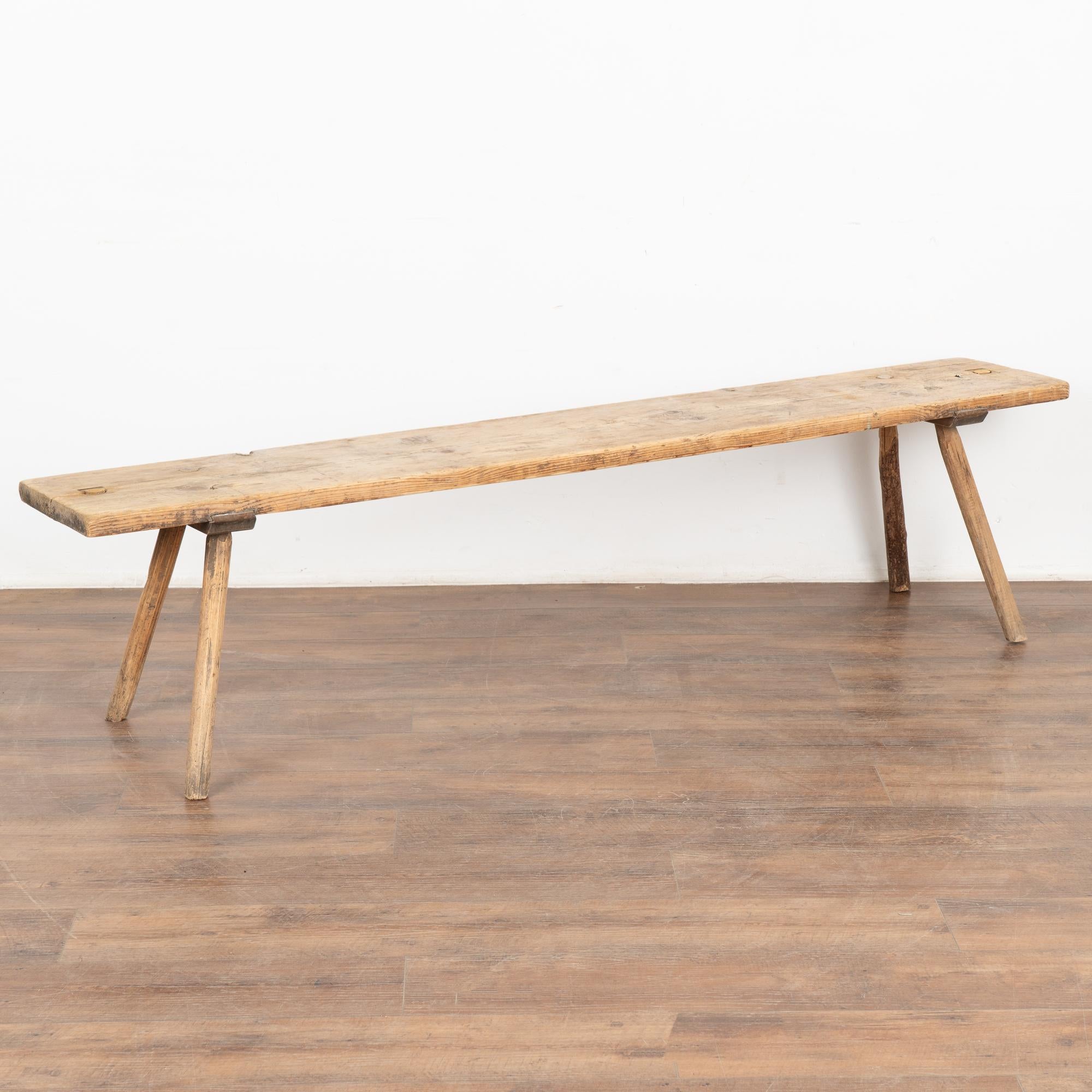 Rustic plank top bench with splay peg legs at just under 6.5' long.
The top reveals generations of use with cracks, nicks, stains and old dried worm holes which add character to the narrow bench.
Restored and waxed, this bench is strong, stable and