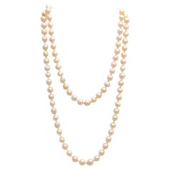Long Necklace of Akoya Pearls