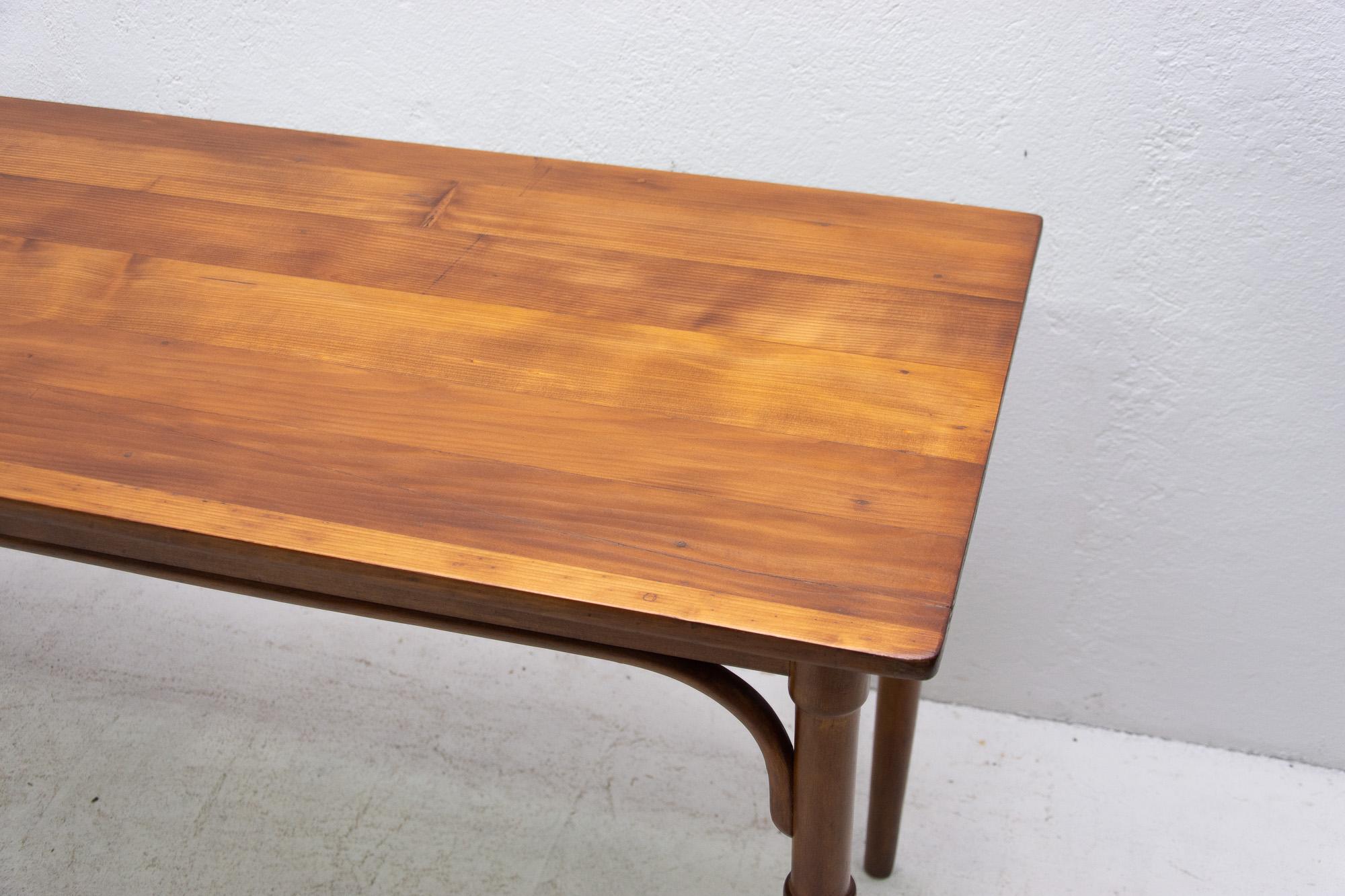 Long Occasional Coffee Table in the Thonet Style, 1920s, Bohemia 4