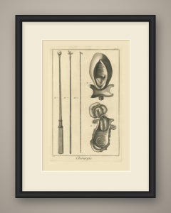 Long Probes and Anatomical Specimens, Diderot Chirurgie Plate V, circa 1772