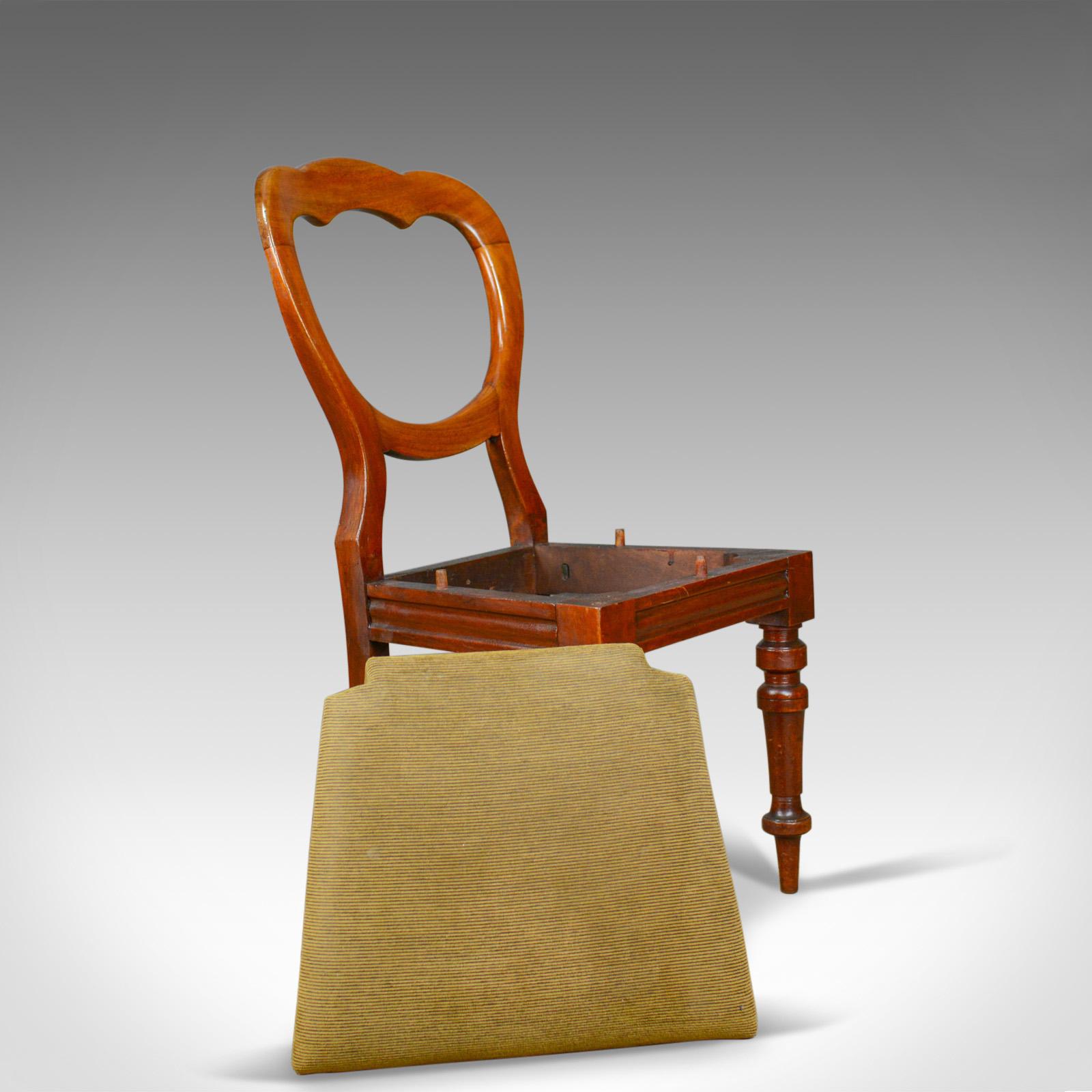 Long Set of 12 Antique Dining Chairs, English, Victorian, Balloon Back (19. Jahrhundert)