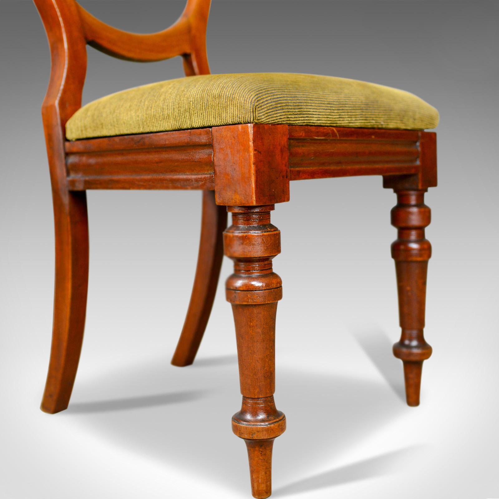 Long Set of 12 Antique Dining Chairs, English, Victorian, Balloon Back (Mahagoni)