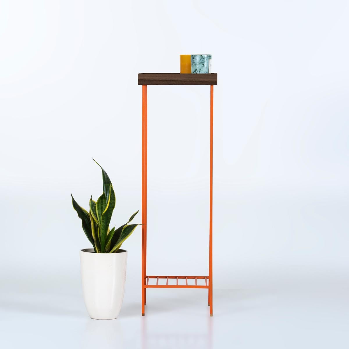 Moderne Longue table d'appoint / Plant Stand en Wood Wood Wood - Série EDGE, avec pieds en métal coloré en vente