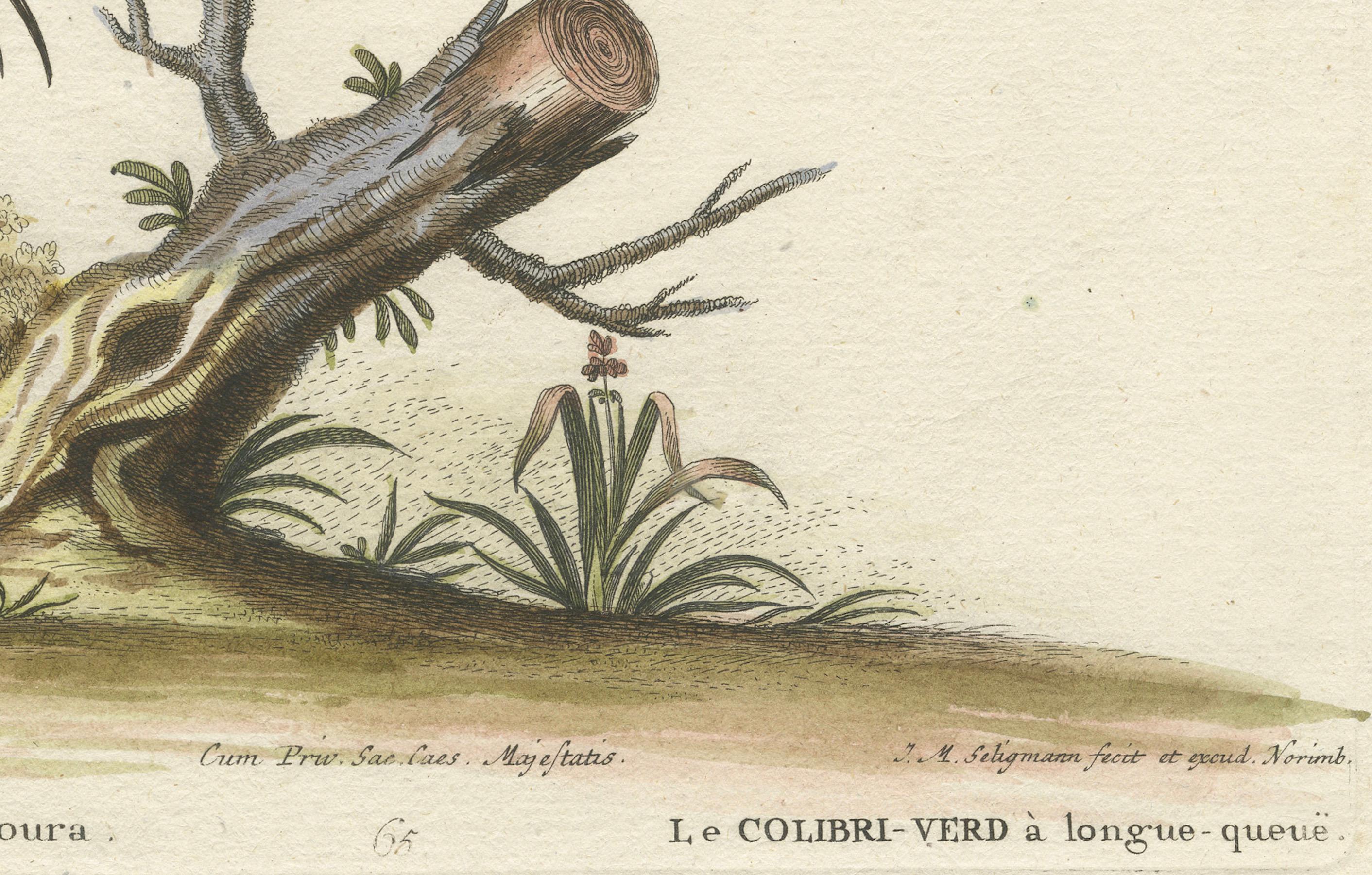 Cette gravure coloriée à la main, intitulée 