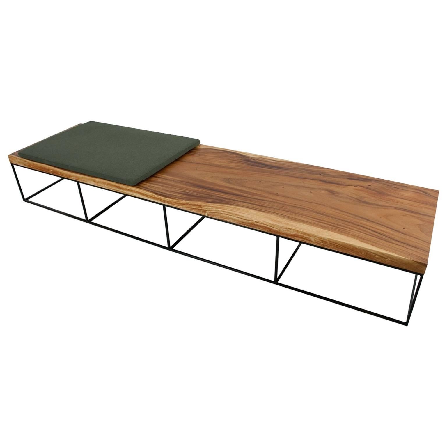 Long Wooden Suar Coffee Table or Bench, Organic Contemporary Modern Design