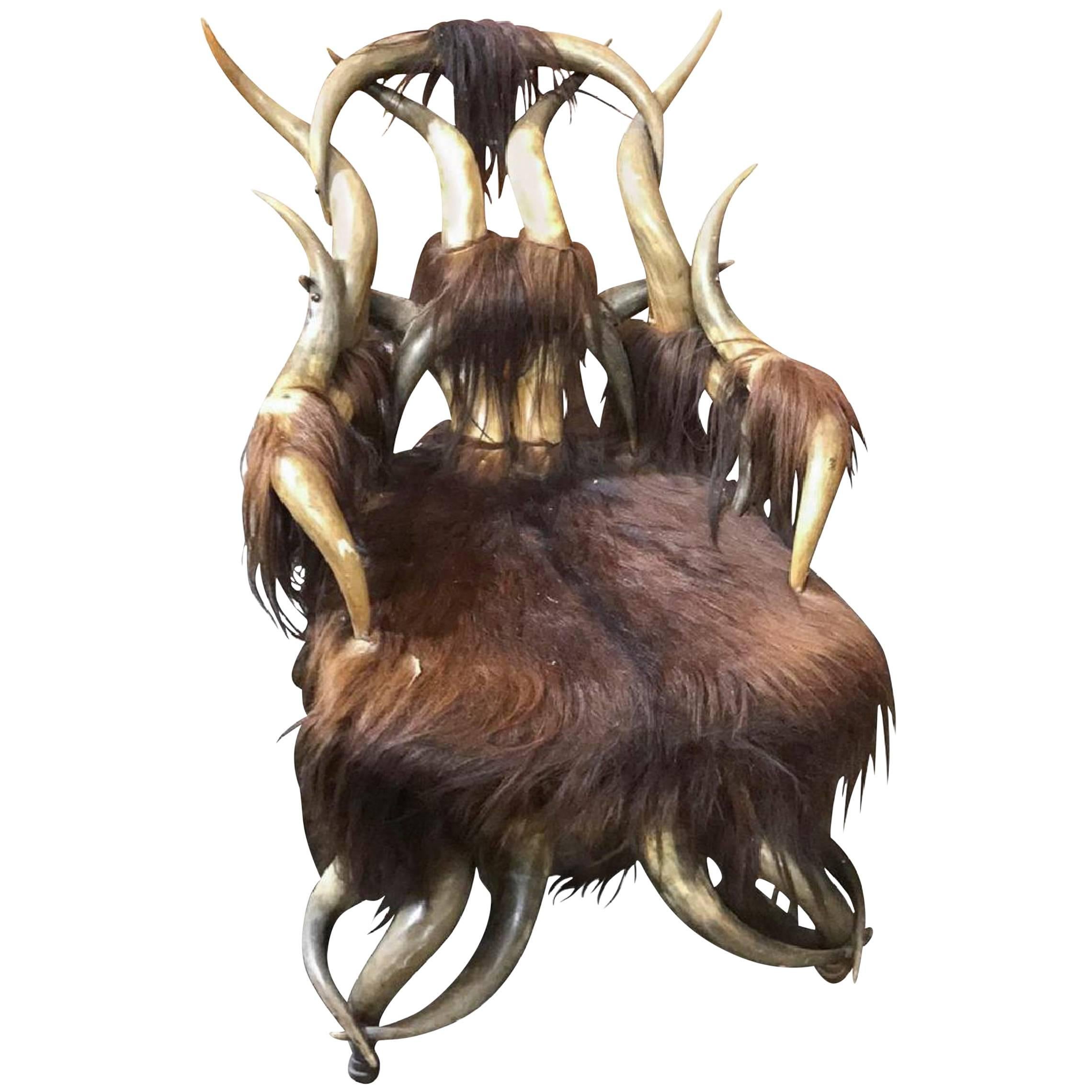 Longhorn and Horsehair Chair