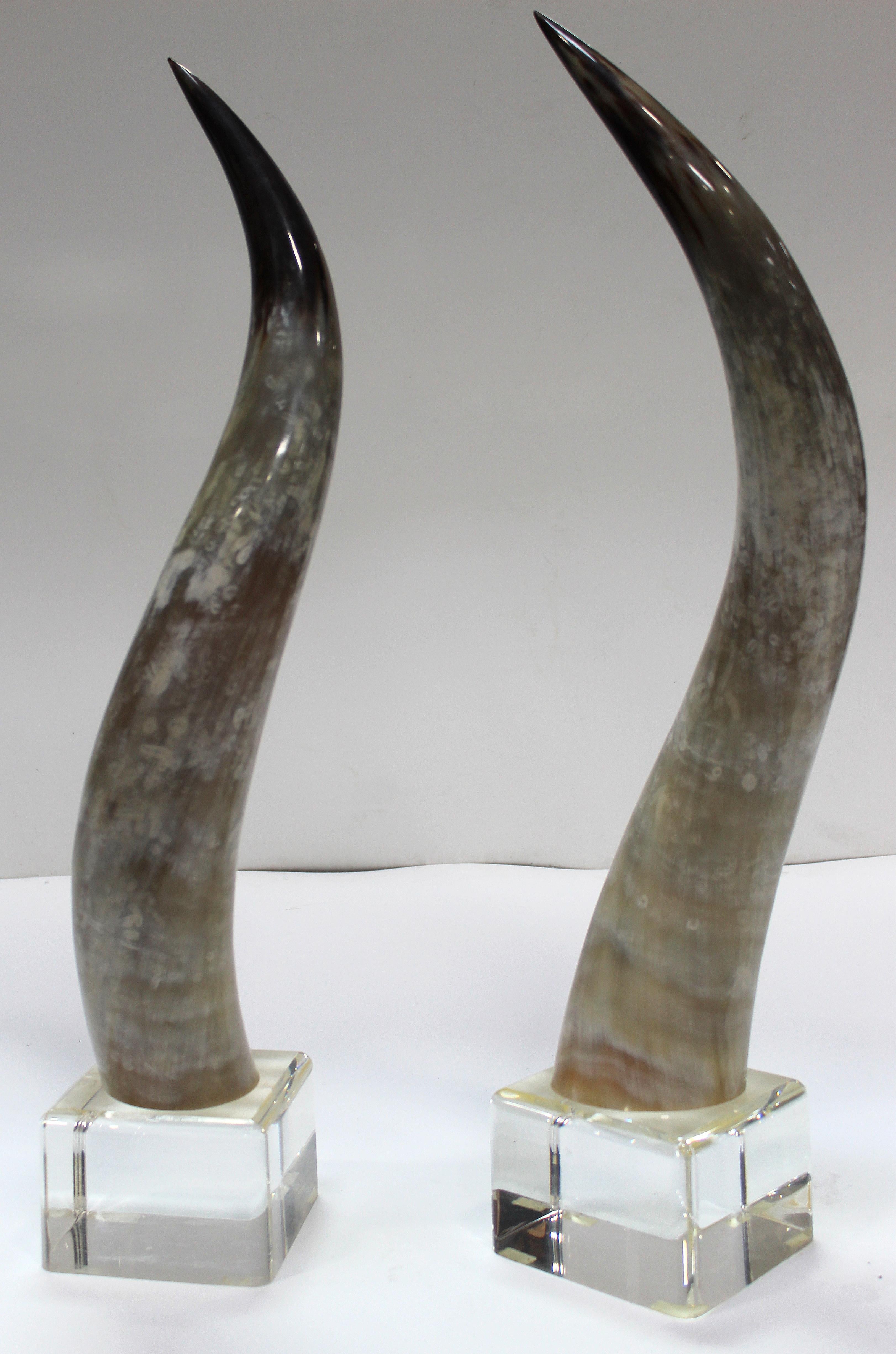 Organic Modern Overscale Longhorn Steer Horns Mounted on Lucite Bases