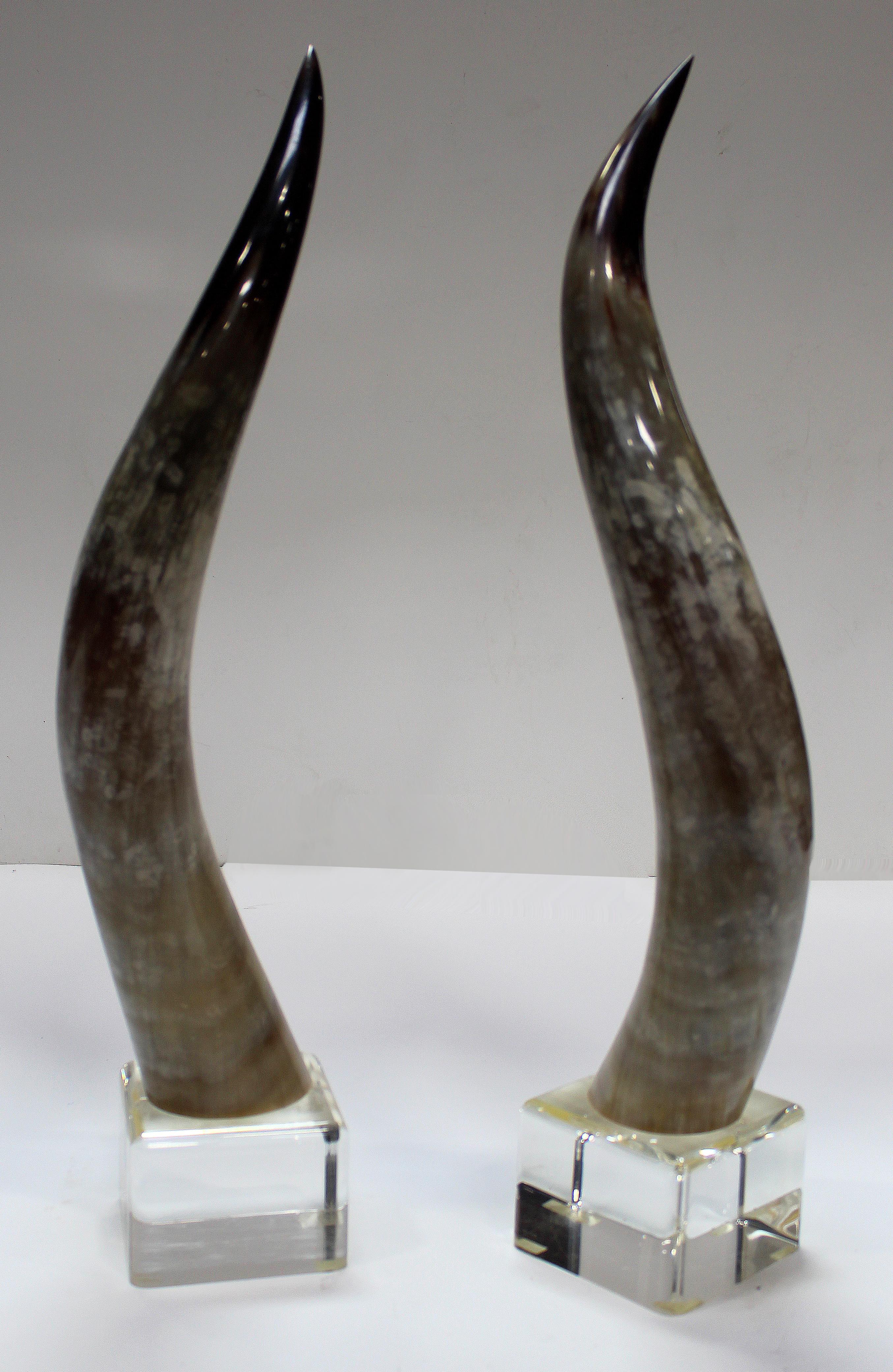 American Overscale Longhorn Steer Horns Mounted on Lucite Bases