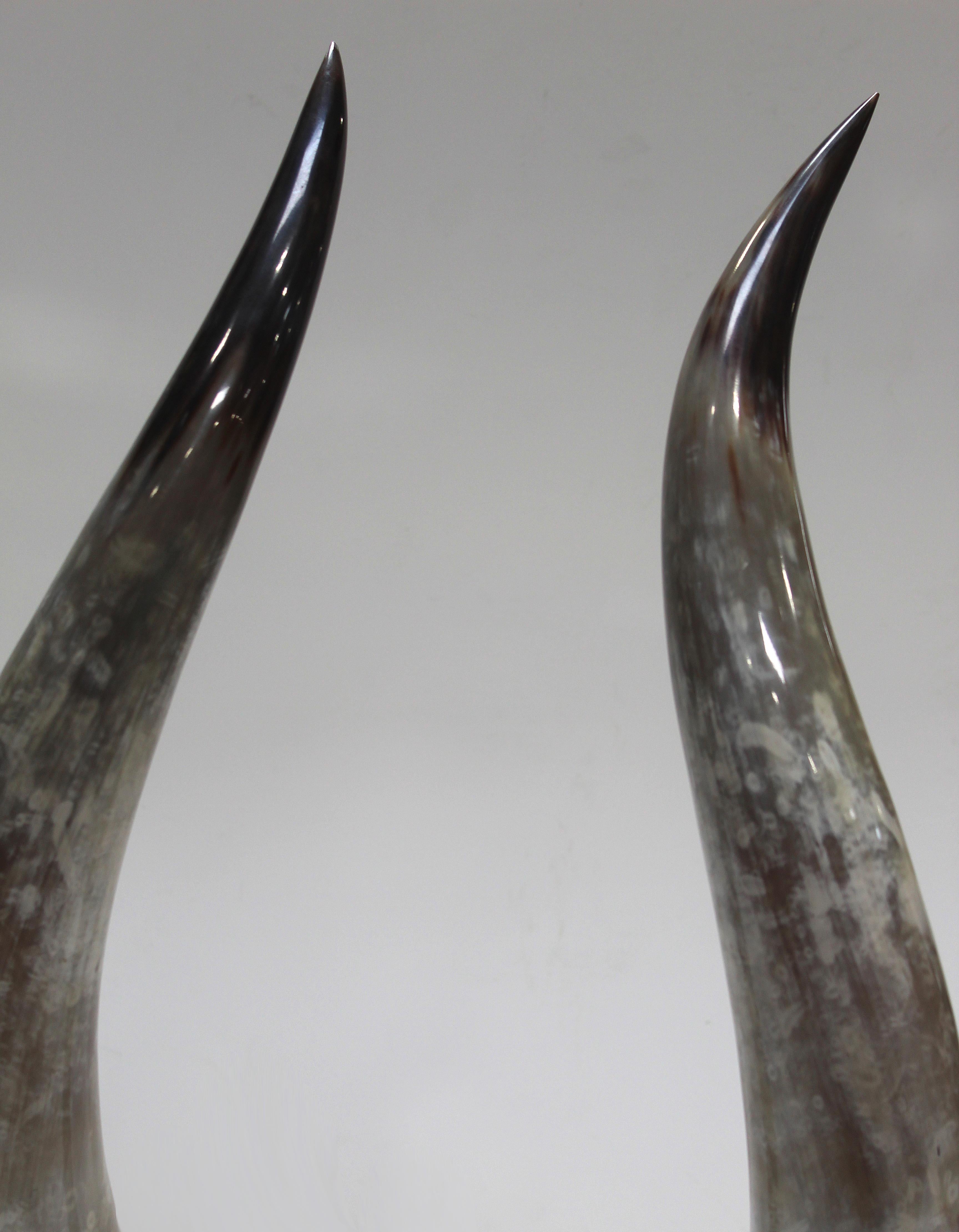 Overscale Longhorn Steer Horns Mounted on Lucite Bases 1