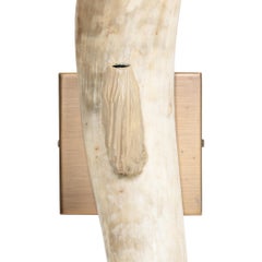 Longhorn Wall Sconces
