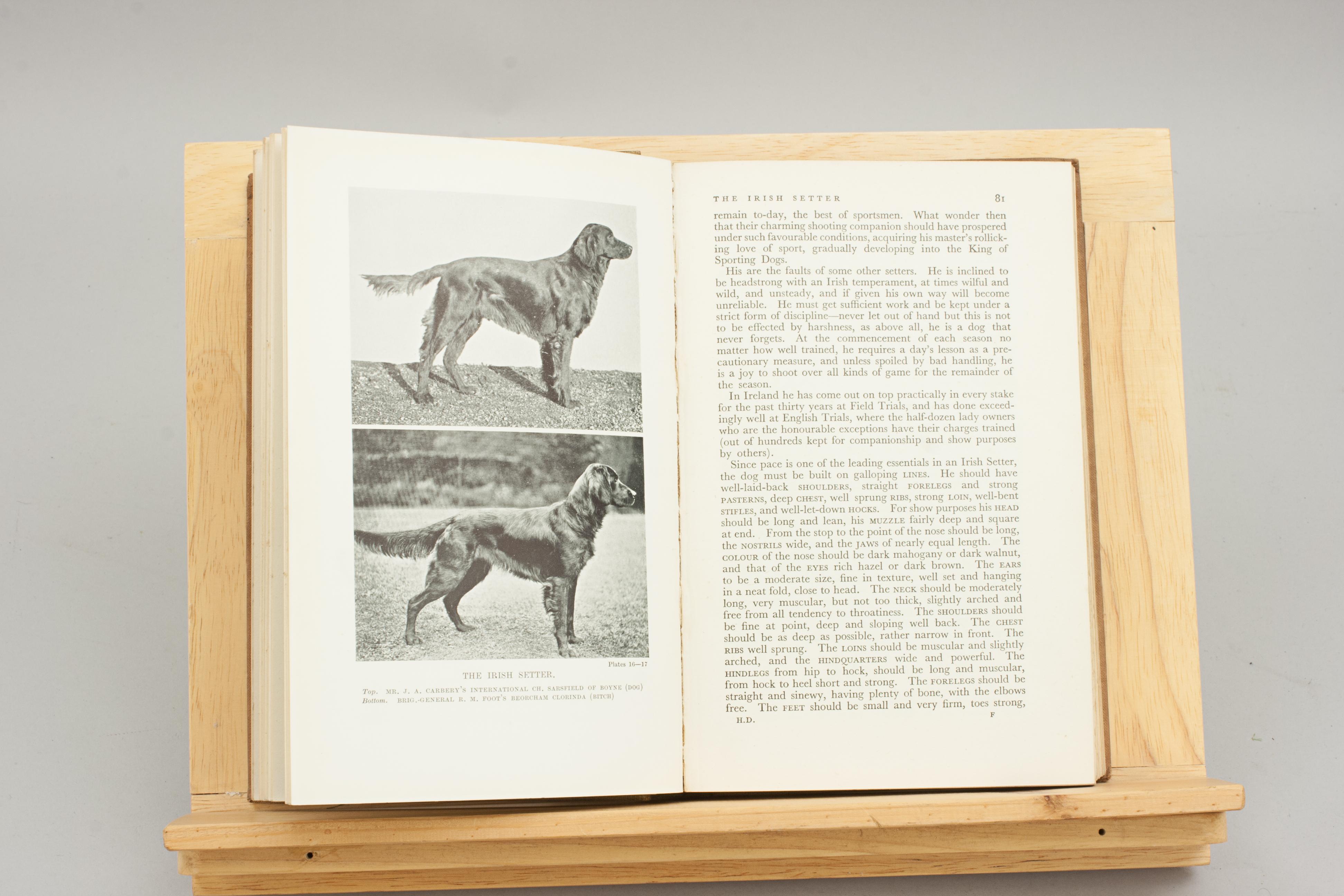 English Lonsdale Library Book, Hounds and Dogs For Sale