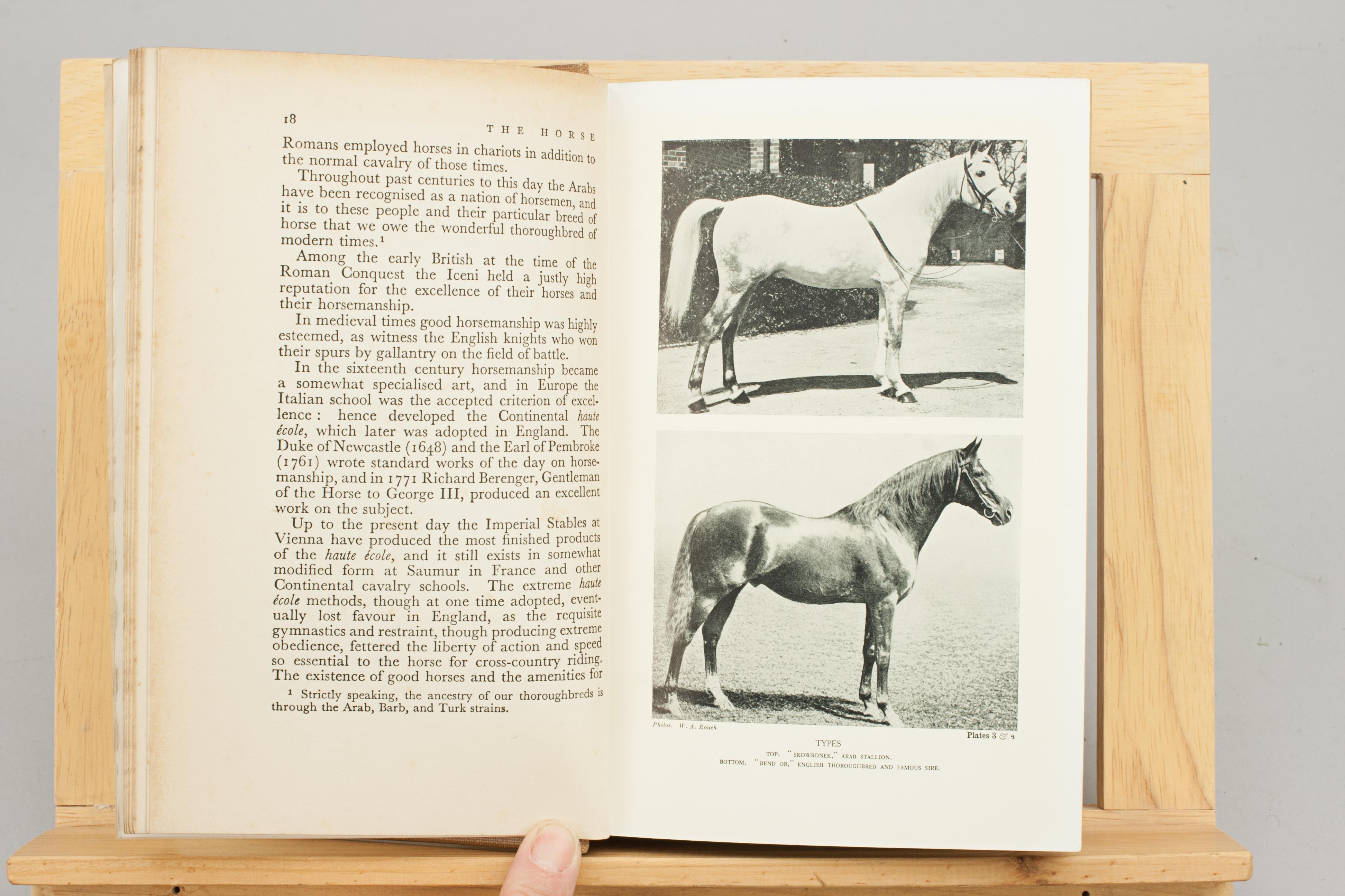 Sporting Art Lonsdale Library Equestrian Book For Sale