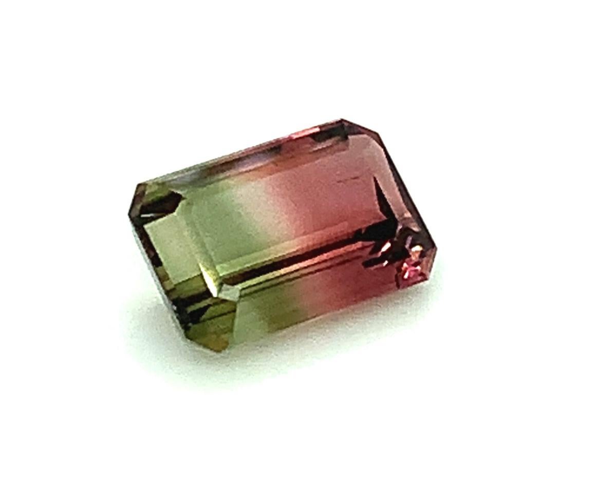 This pretty bi-color tourmaline is a beautiful marriage of pink and green of equal saturation, vibrance and clarity. While we have called this a 