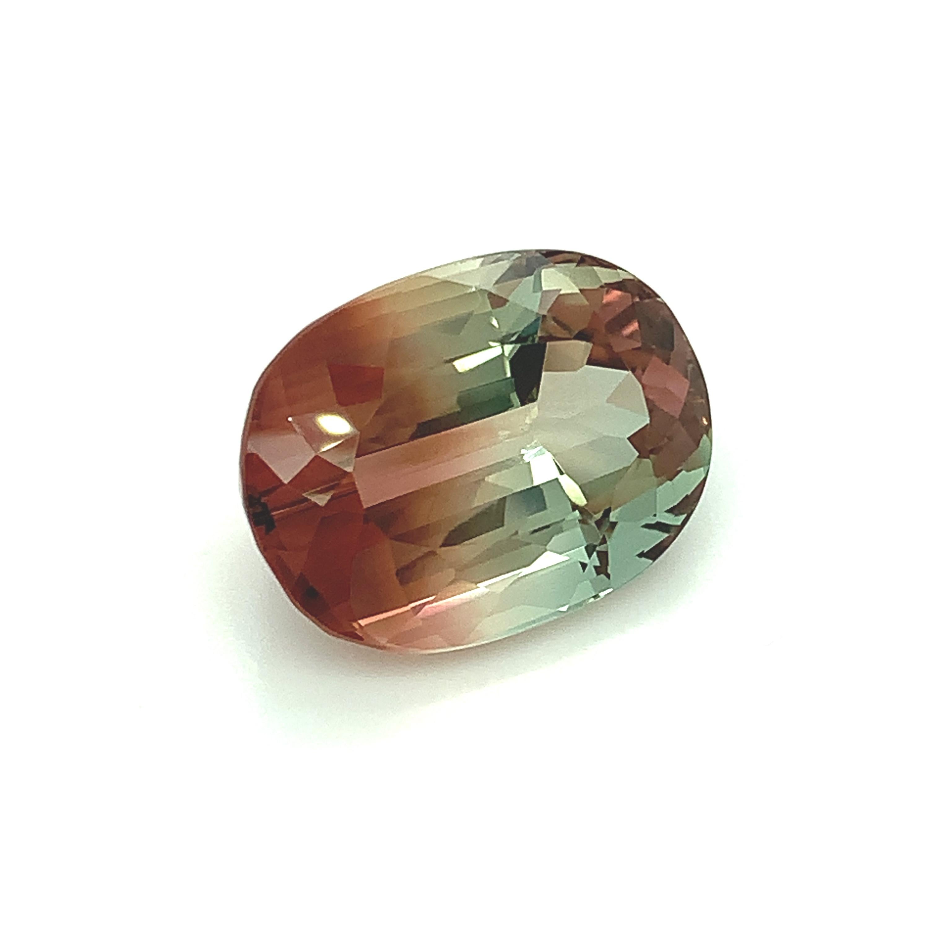 Artisan Tourmaline bicolore ovale non sertie 33,40 carats, pierre précieuse de collection pour pendentif ou bague en vente