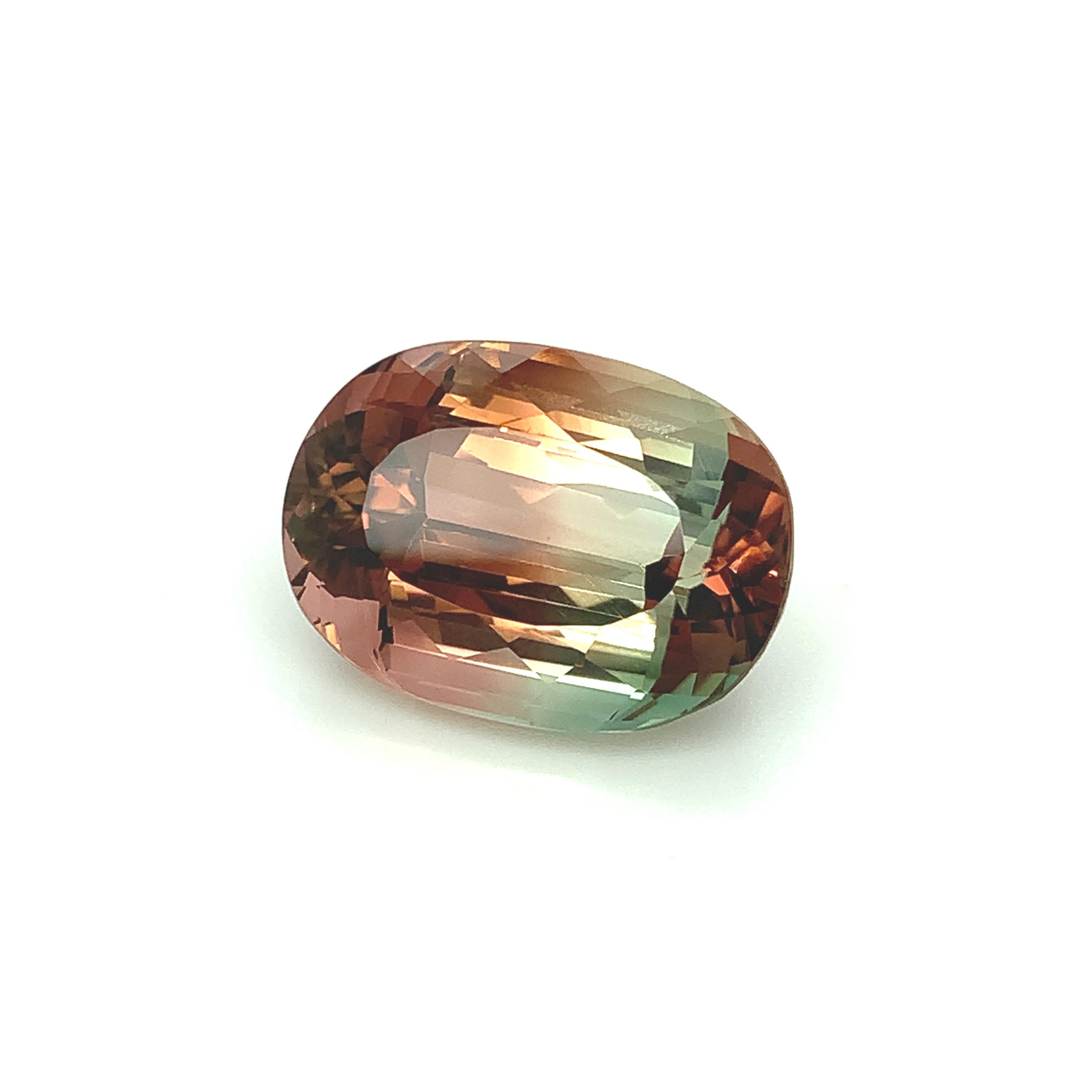 Taille ovale Tourmaline bicolore ovale non sertie 33,40 carats, pierre précieuse de collection pour pendentif ou bague en vente