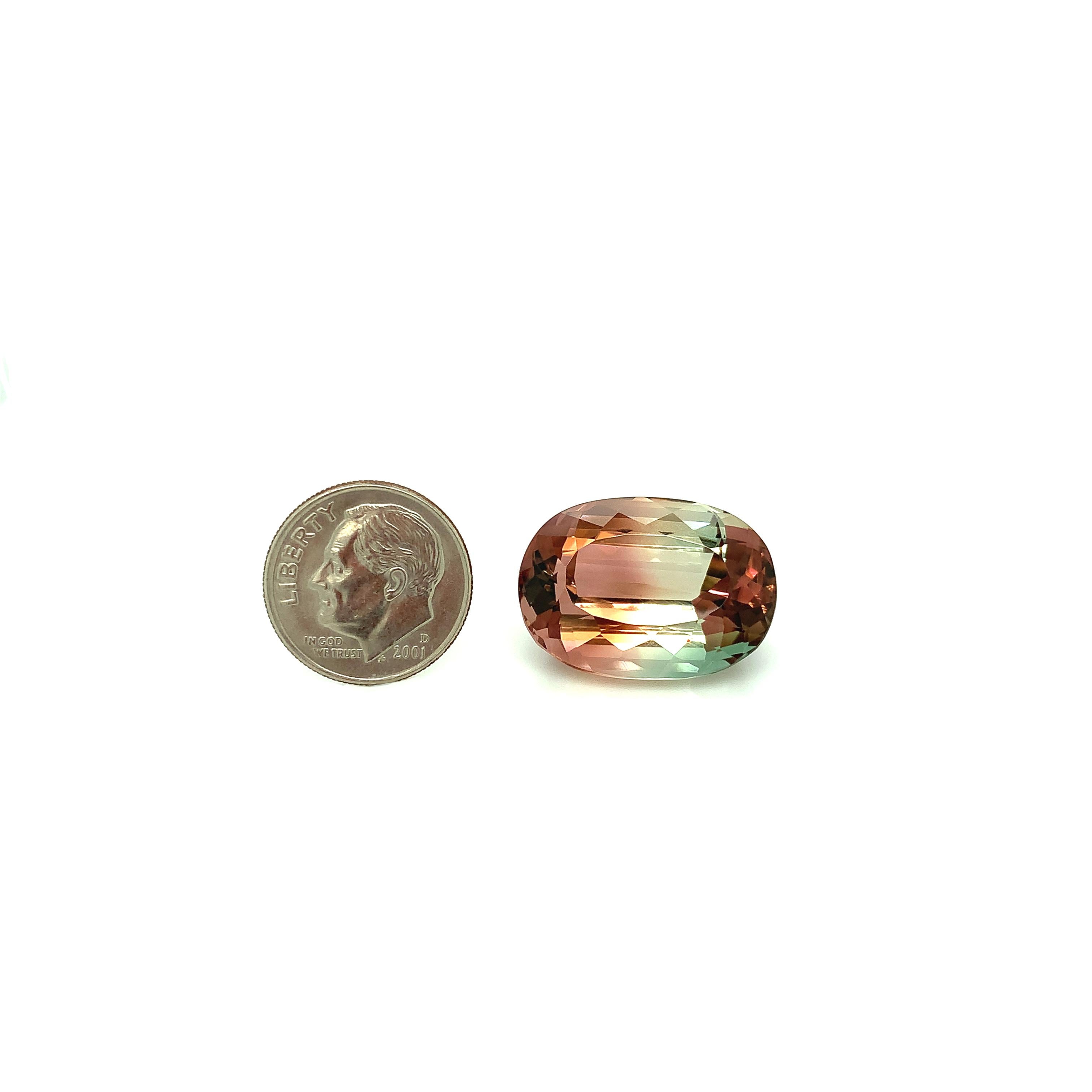 Tourmaline bicolore ovale non sertie 33,40 carats, pierre précieuse de collection pour pendentif ou bague en vente 1