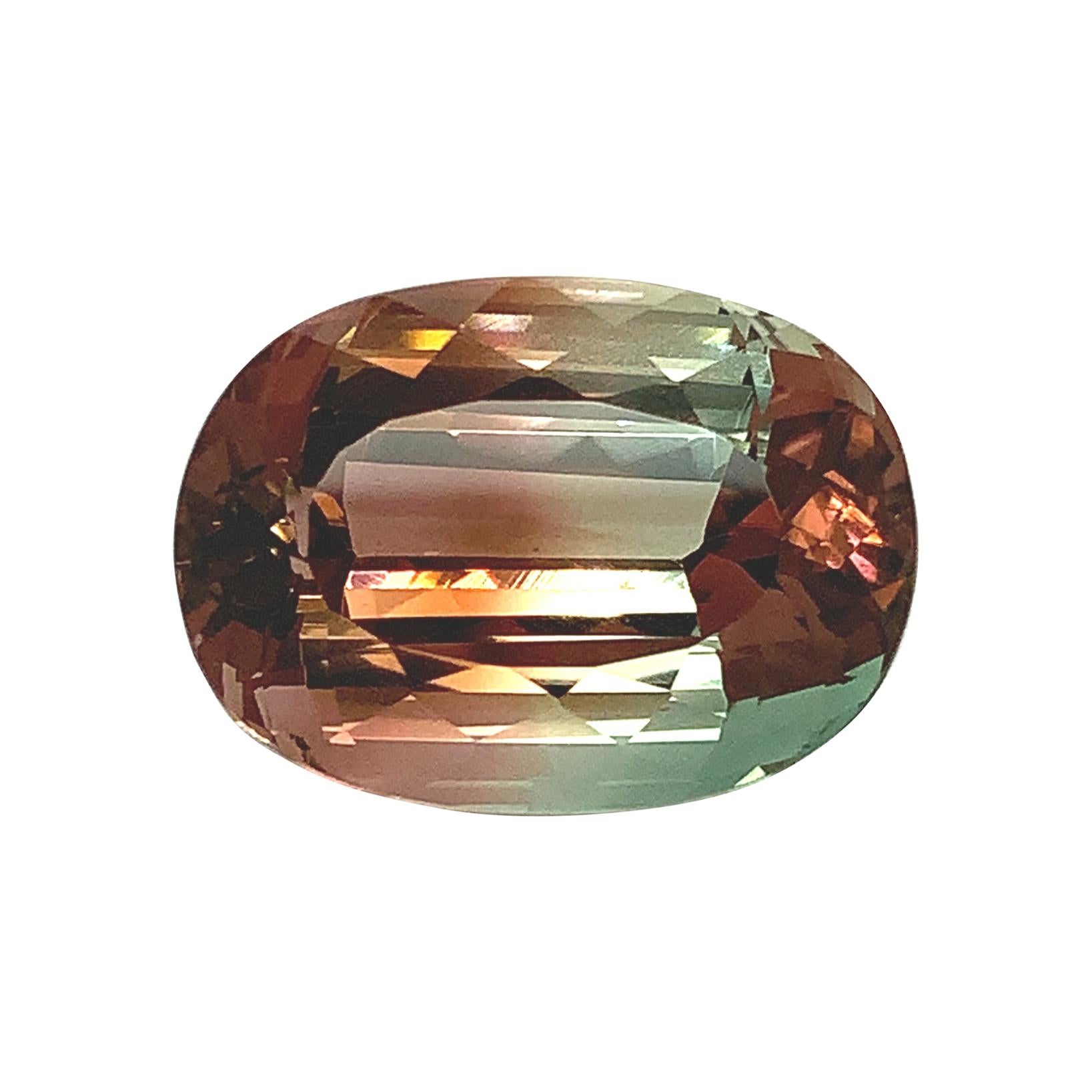 Tourmaline bicolore ovale non sertie 33,40 carats, pierre précieuse de collection pour pendentif ou bague