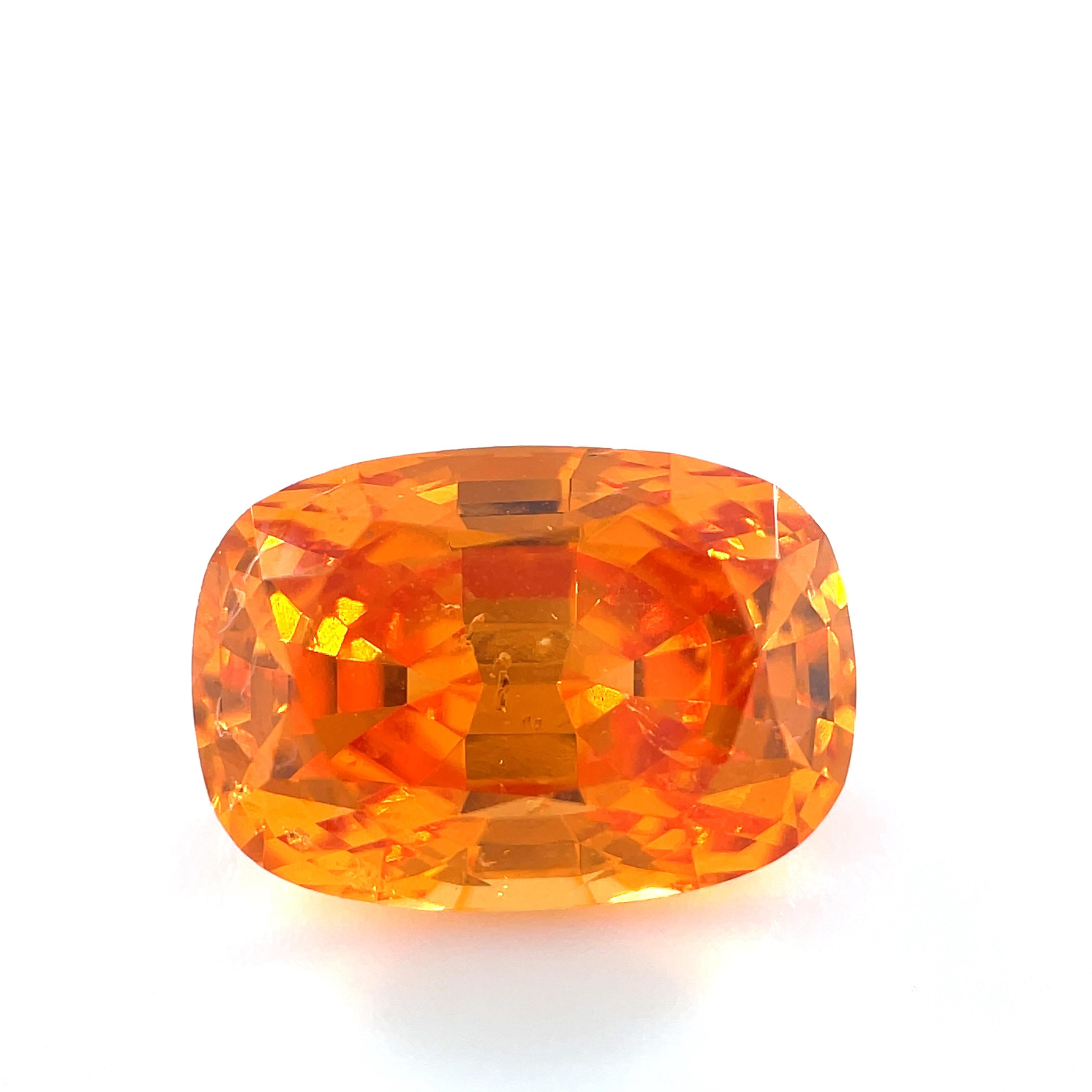 This 4.97 carat cushion-cut Mandarin garnet is absolutely gorgeous! Spessartite garnets are a beautiful variety of January's birthstone that occur in a range of striking orange hues. The finest spessartite garnets are called 