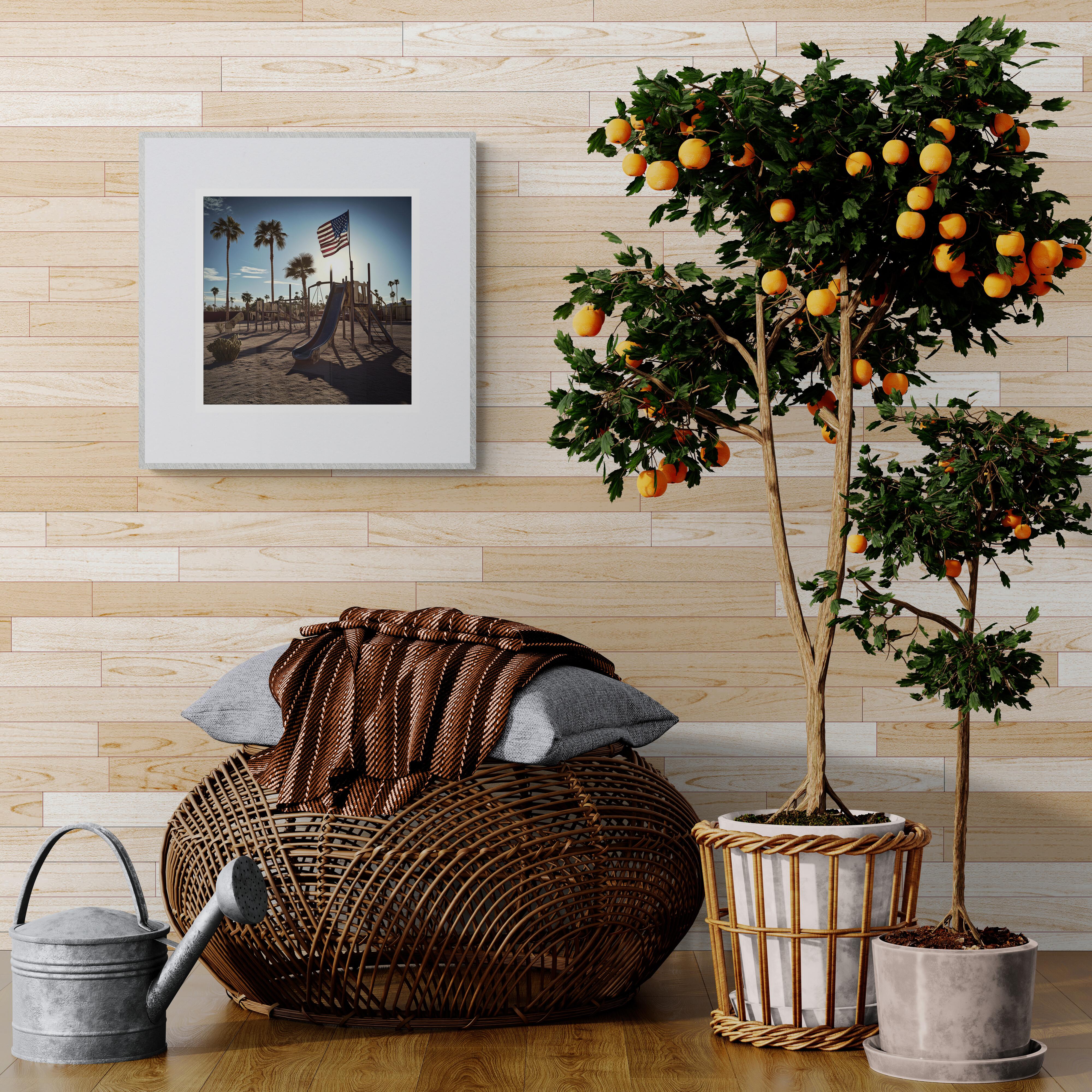 Cali 180722-87 (Americana, California, Playground, Palm Trees, Sky, 44% OFF) - Photograph by Lord Fauntleroy