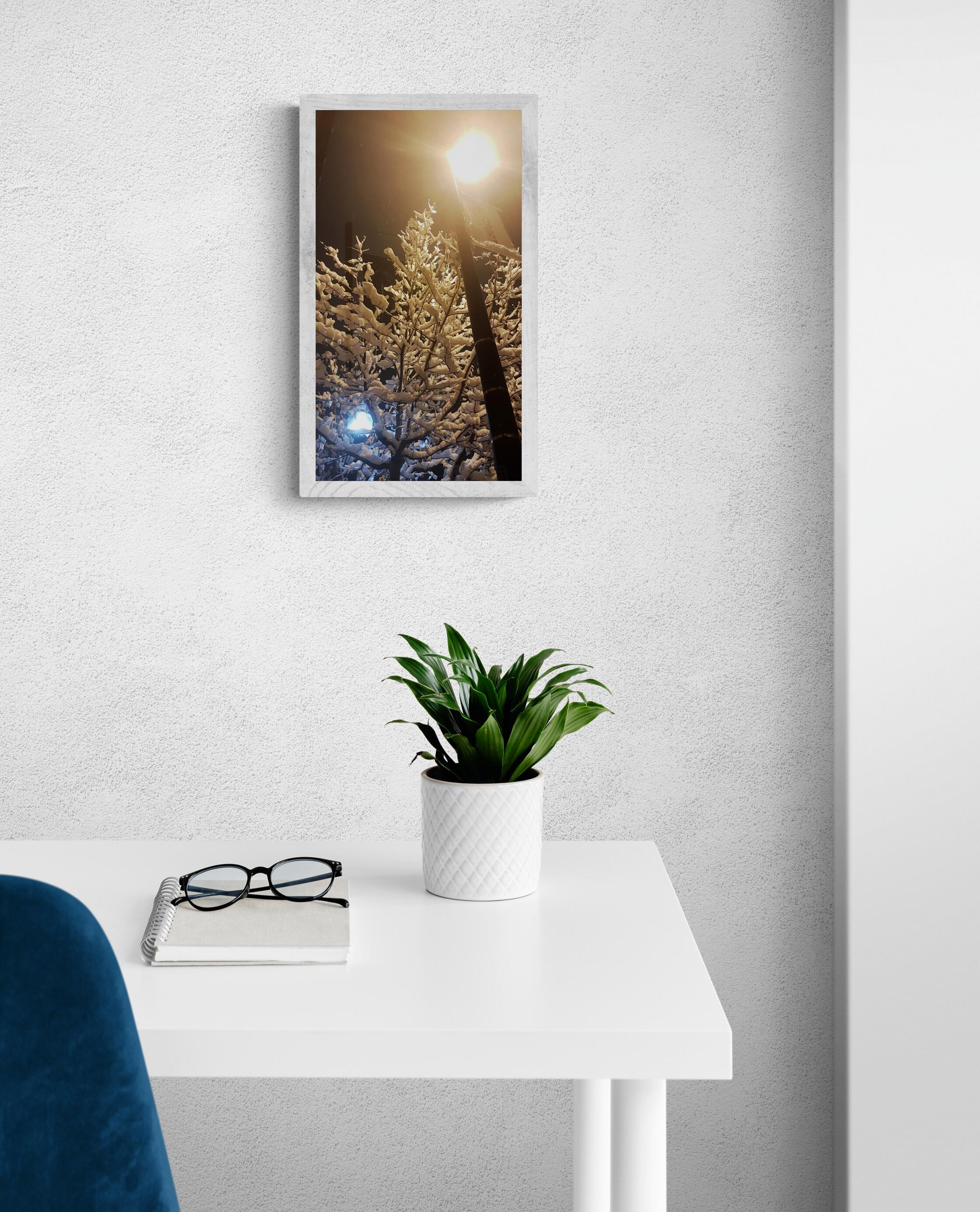 Cool vs. Blanc chaud (photographie, photographie de rue, neige, 40 % hors) - Photograph de Lord Fauntleroy