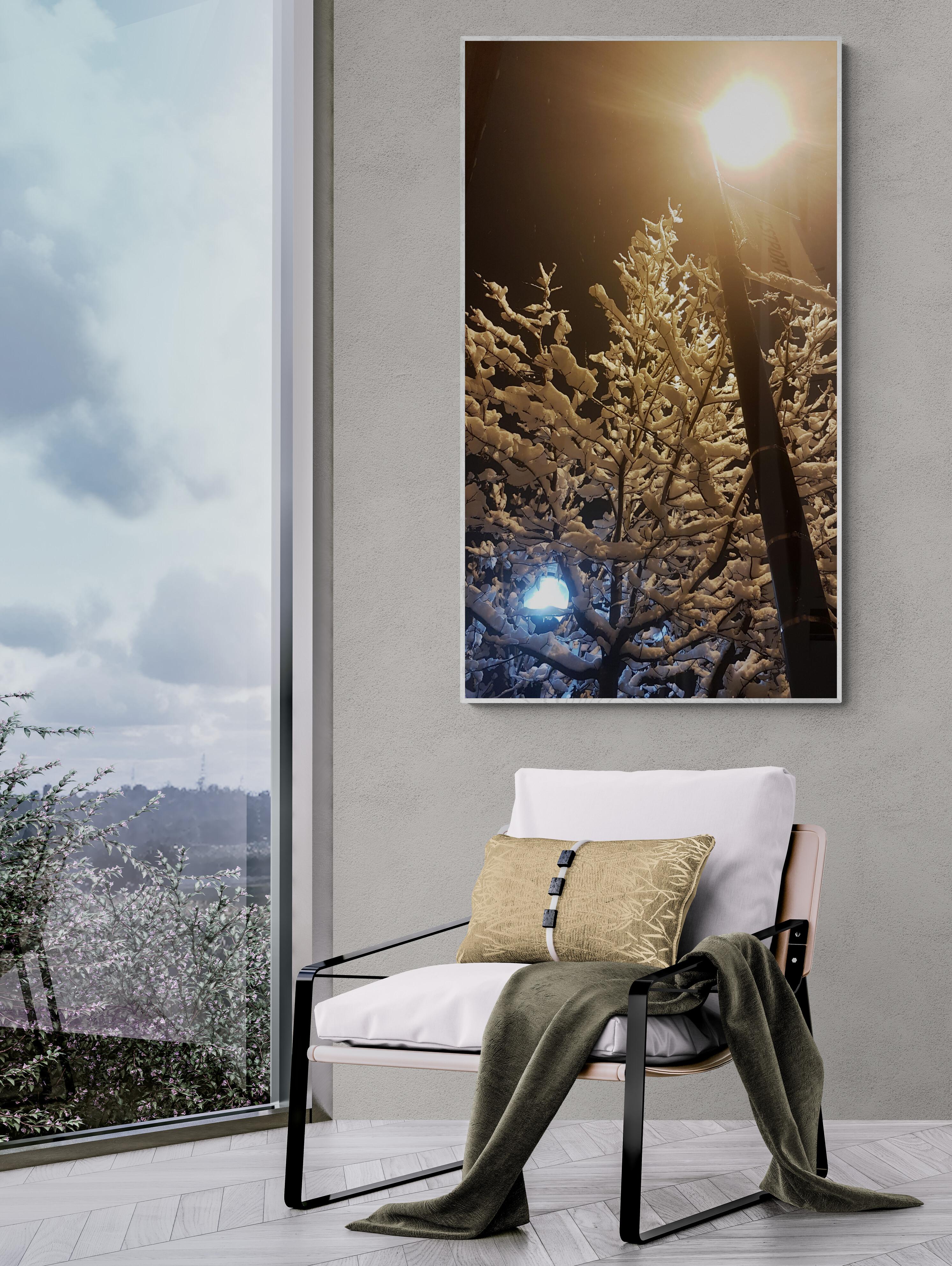 Cool vs. Blanc chaud (photographie, photographie de rue, neige, 40 % hors) - Noir Still-Life Photograph par Lord Fauntleroy