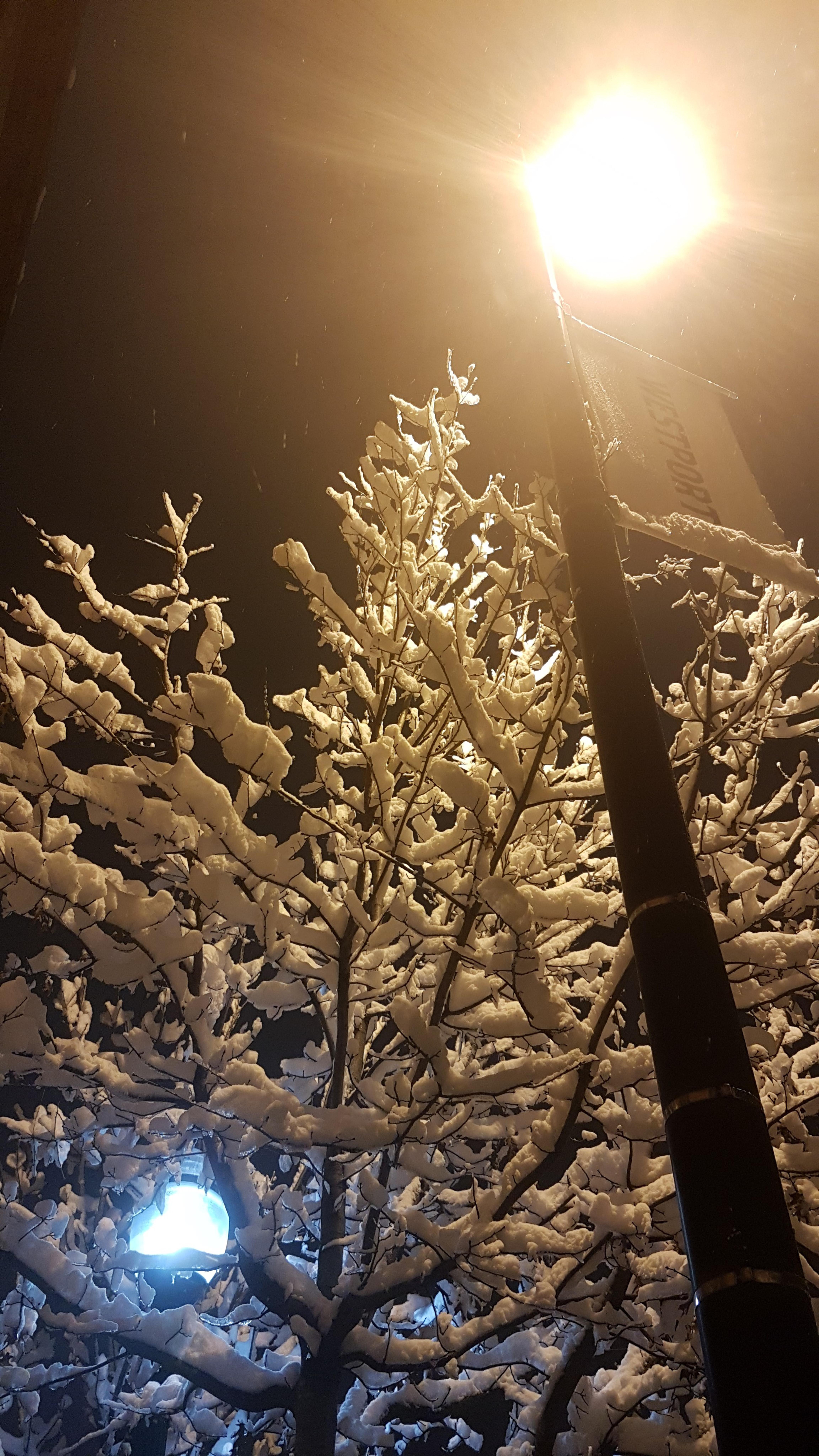 Still-Life Photograph Lord Fauntleroy - Cool vs. Blanc chaud (photographie, photographie de rue, neige, 40 % hors)