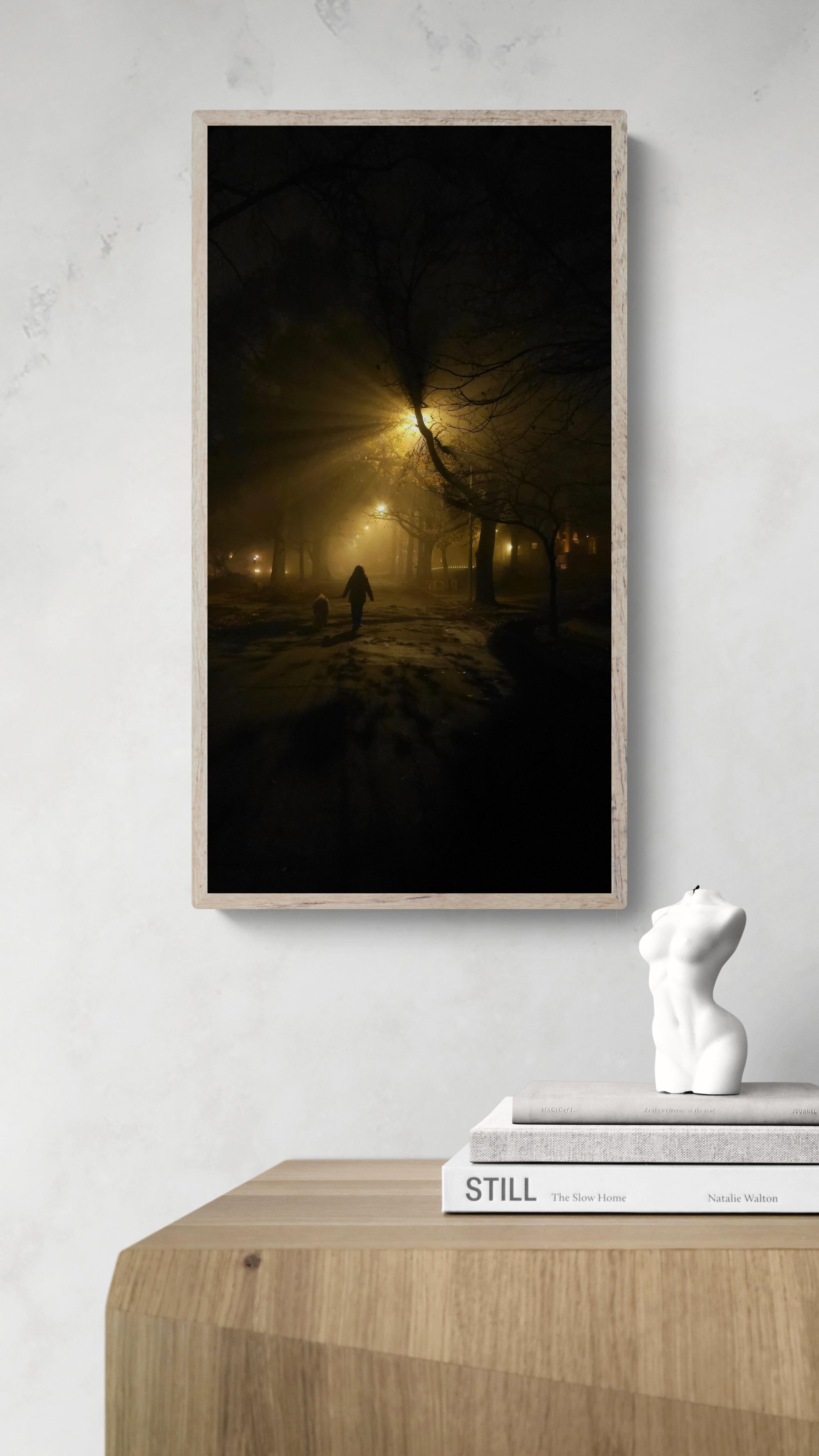 Nebliger Abendspaziergang (Verzaubert, Dämmerung, Mystisch, ~41% OFF) (Zeitgenössisch), Photograph, von Lord Fauntleroy